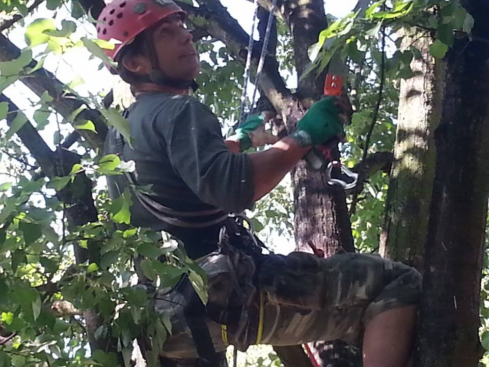 Arboeu s.r.o. foto 4