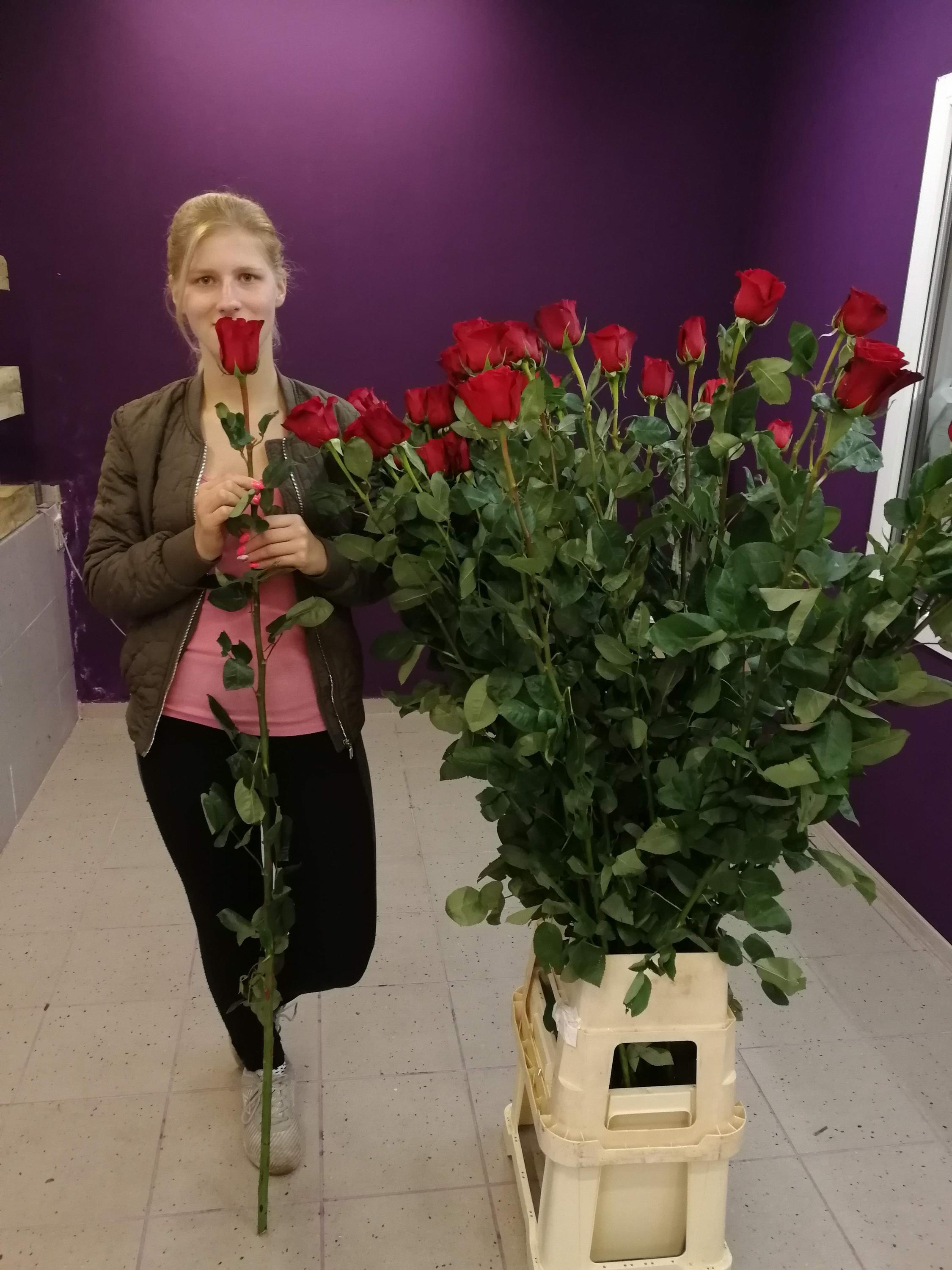 Květinářství SOS růže foto 2