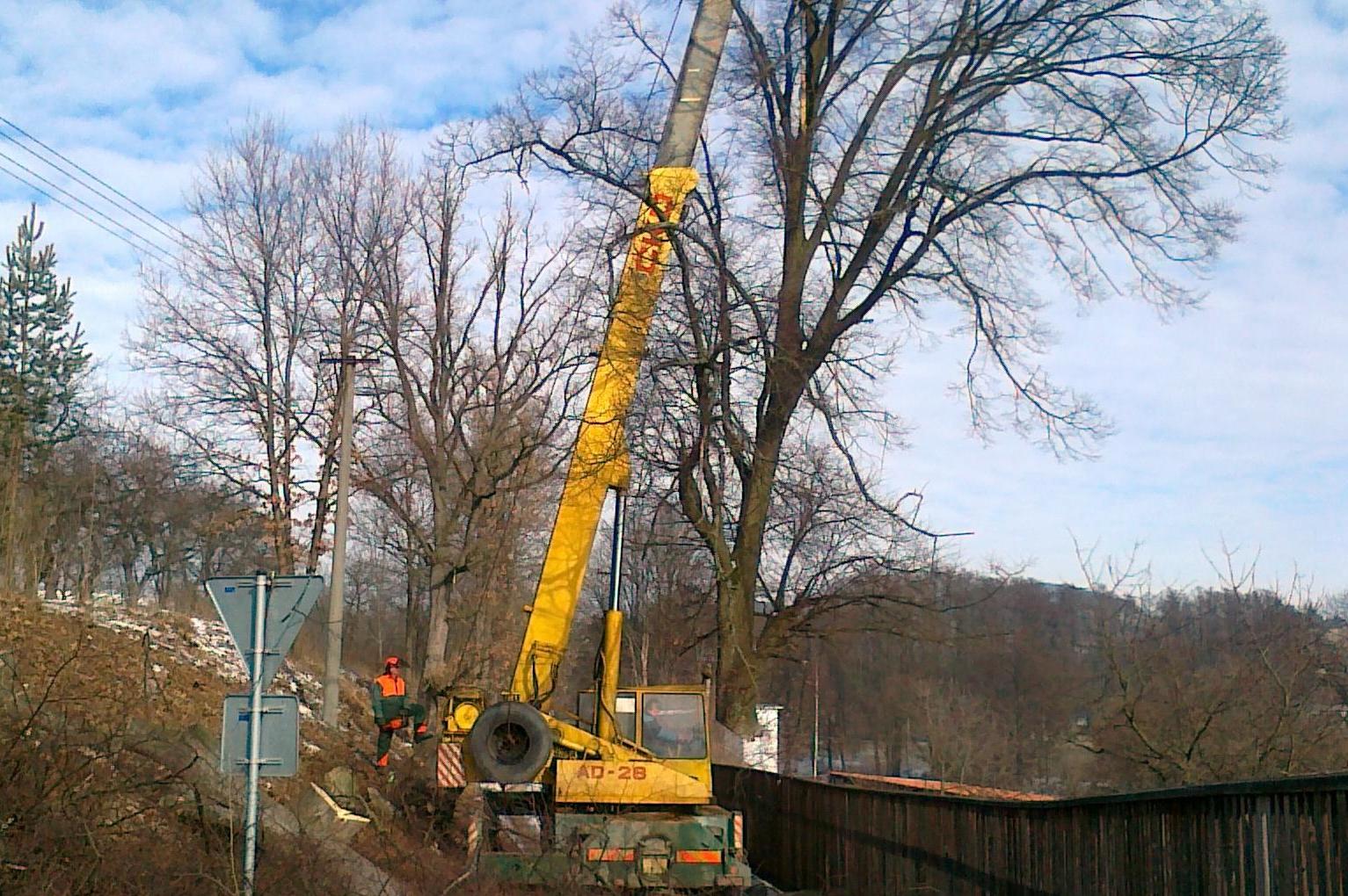 Arbolez - Miroslav Kopenec