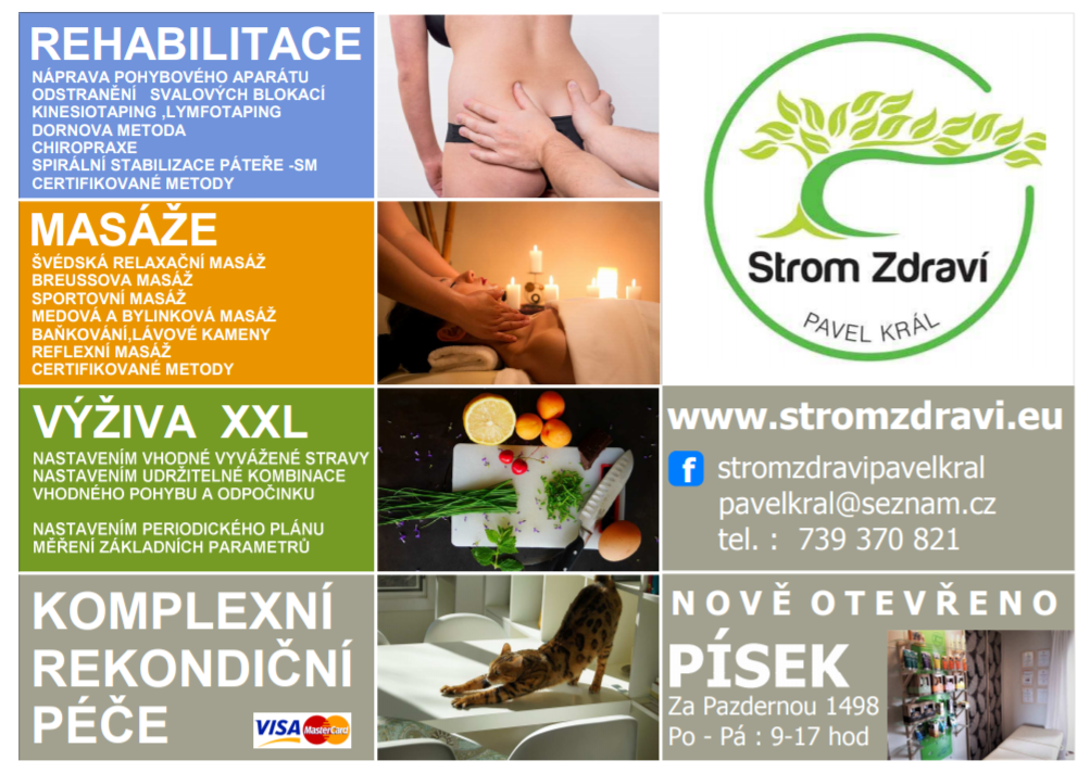 Strom Zdraví - Pavel Král foto 2