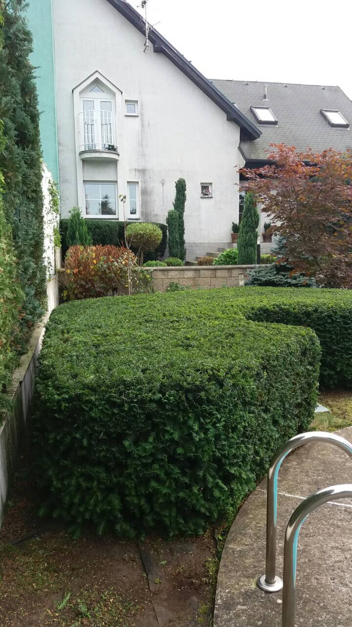 Zahradnické práce Biley foto 3