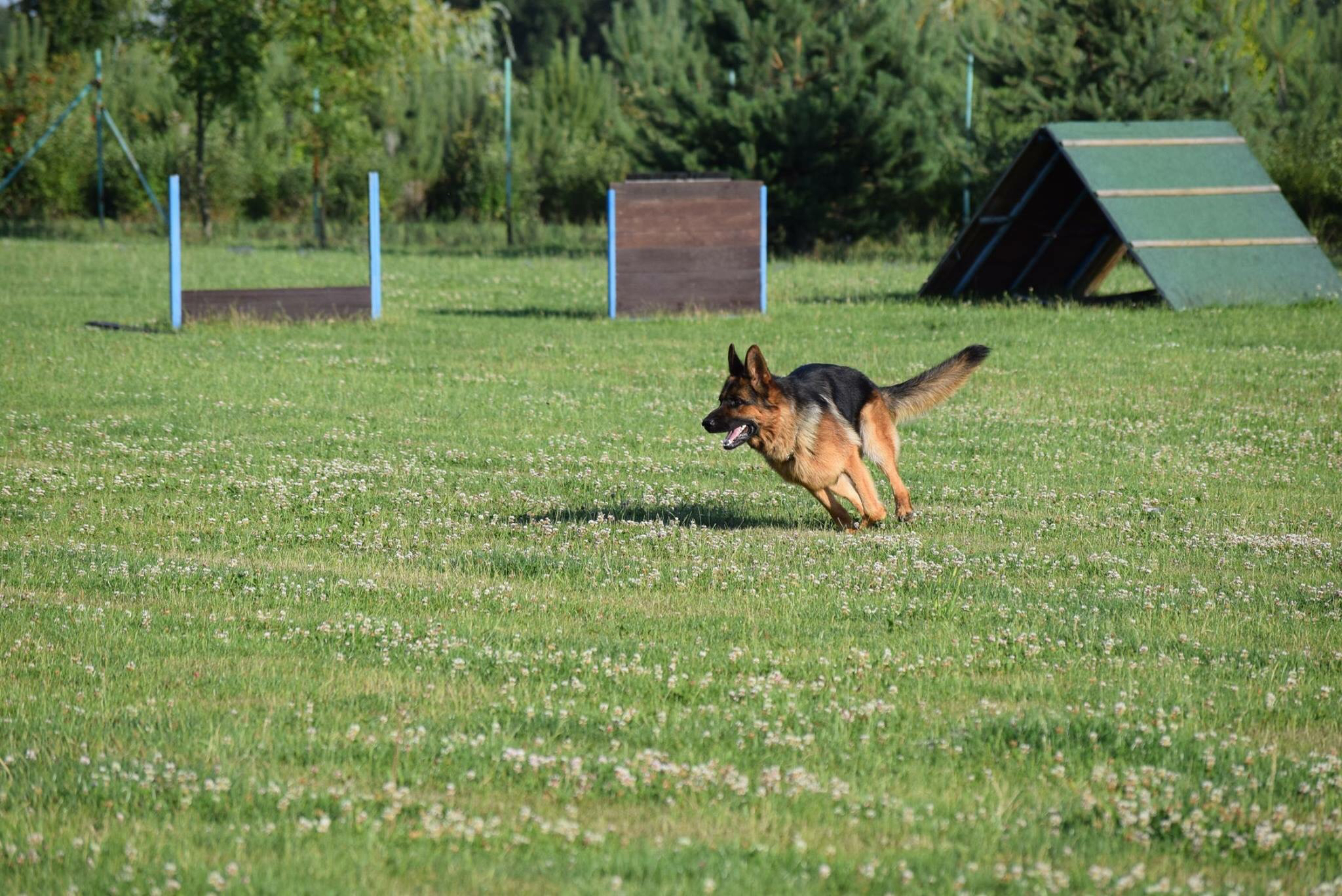 ZKO Kralupy nad Vltavou-Strachov foto 1