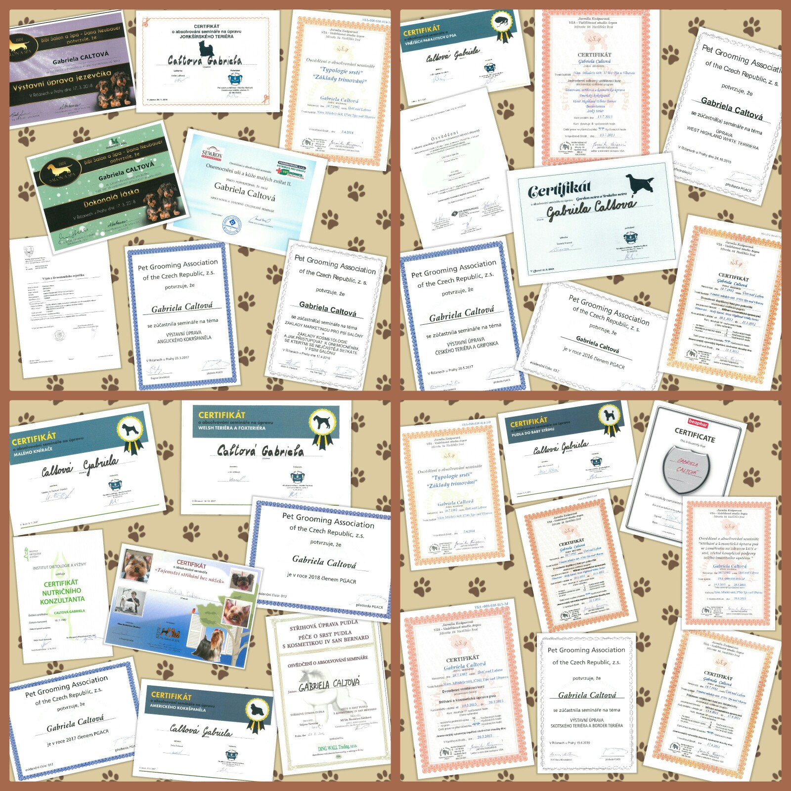 Salon pro psy Gábi foto 2