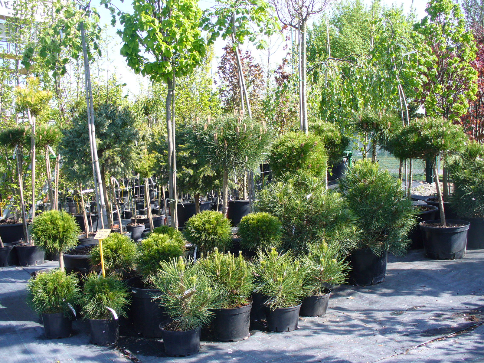 PM Agri s.r.o. foto 3