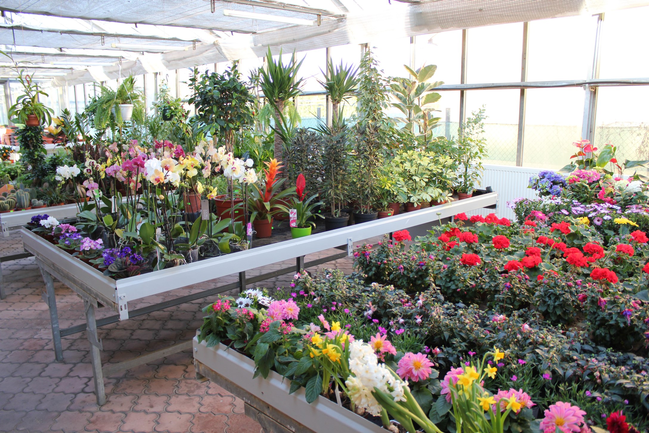 ZAHRADNICTVÍ PÍSEK, s.r.o. foto 5