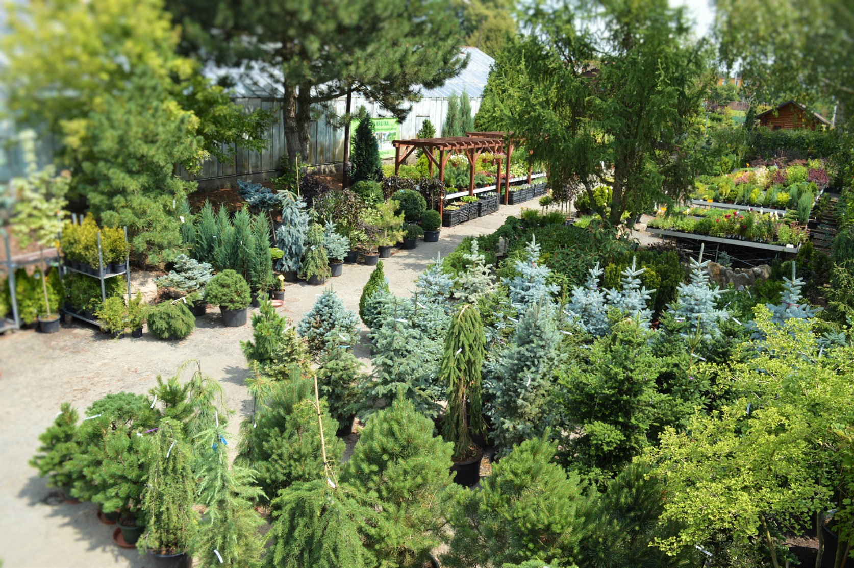 Zahradnictví Adelovi foto 4