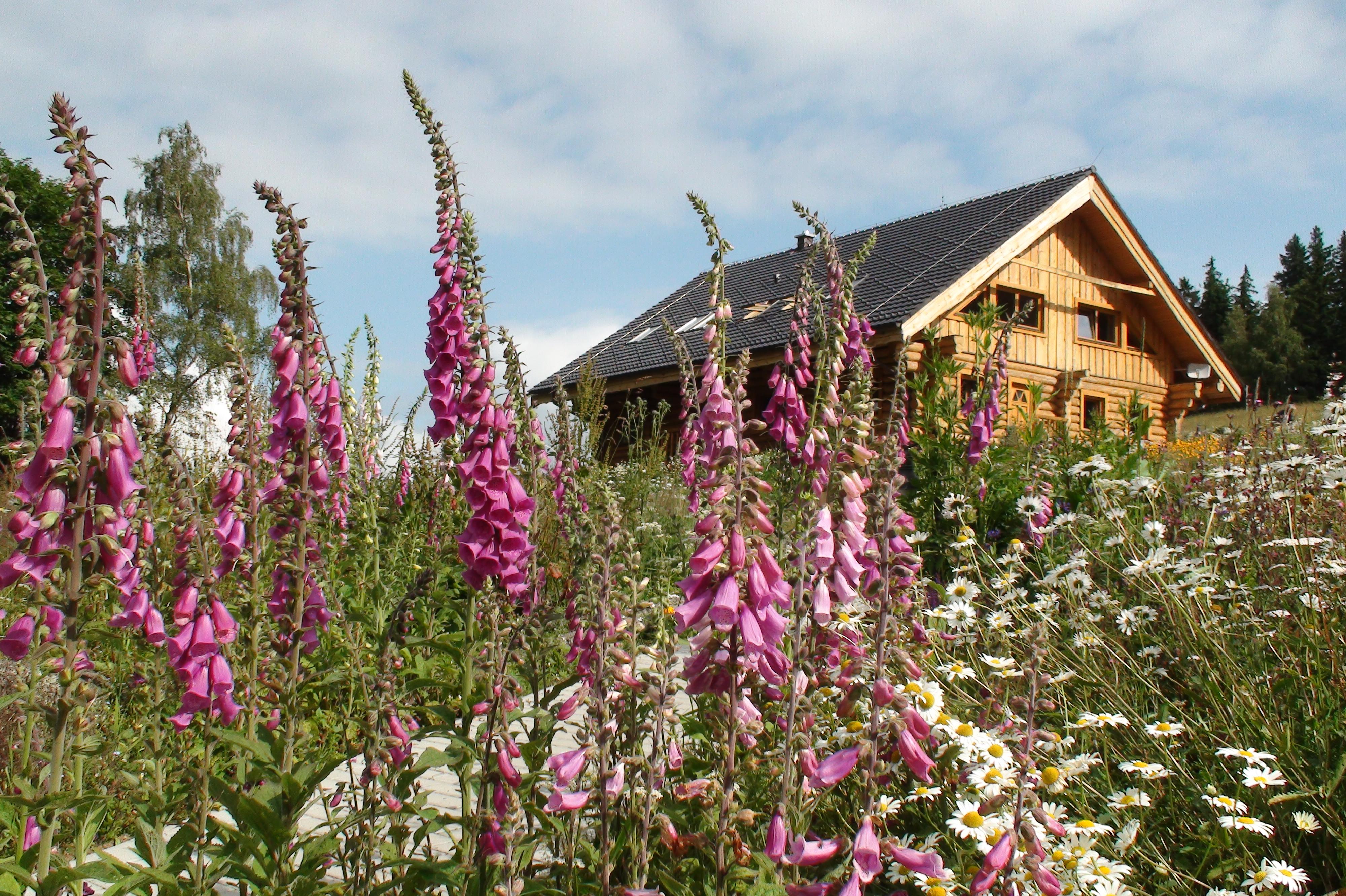 Srub Javorná - Apartmány Šumava