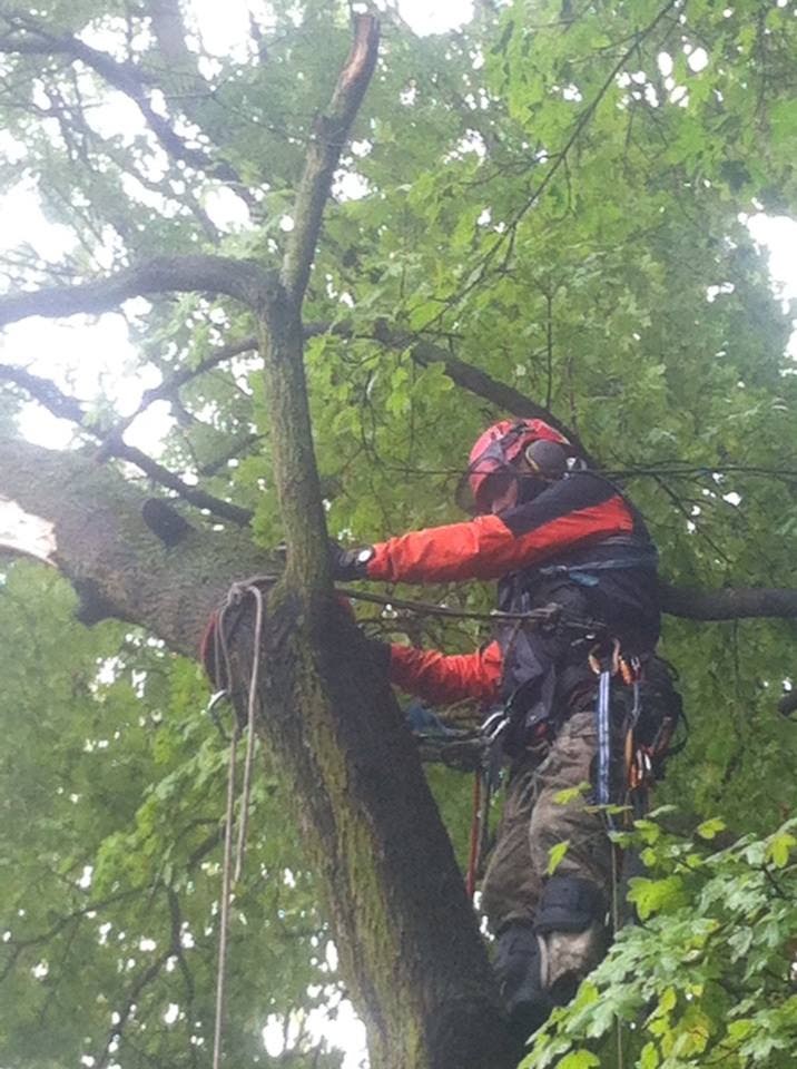 Výšky a práce - Sunflower Trade s.r.o. foto 4
