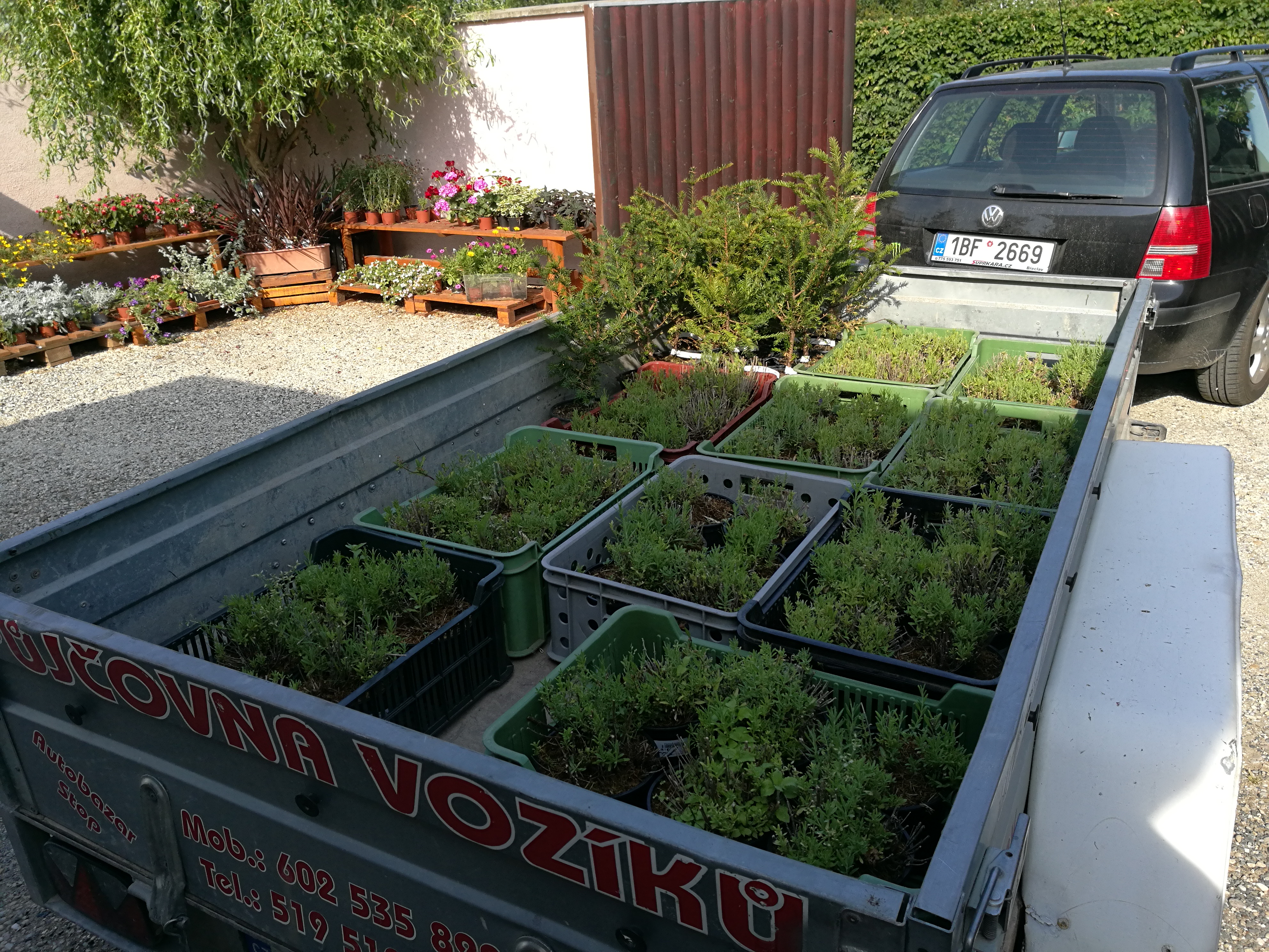 Květinový servis Lucie Holečková foto 4