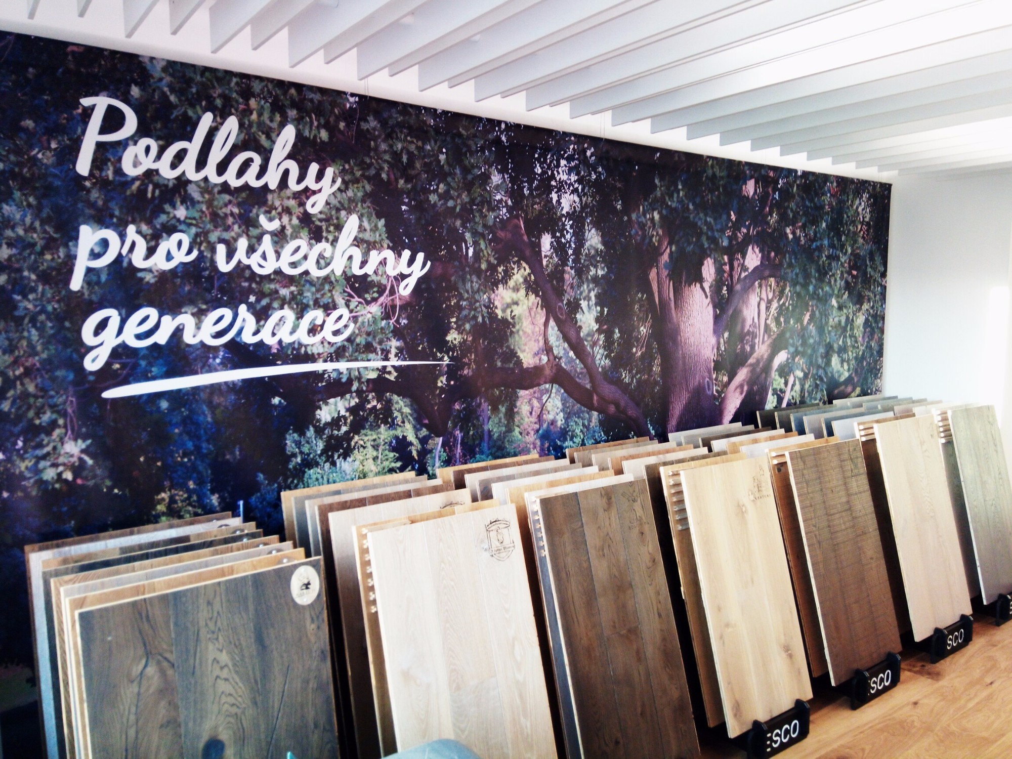 Petr Kopelent - PODLAHY foto 4