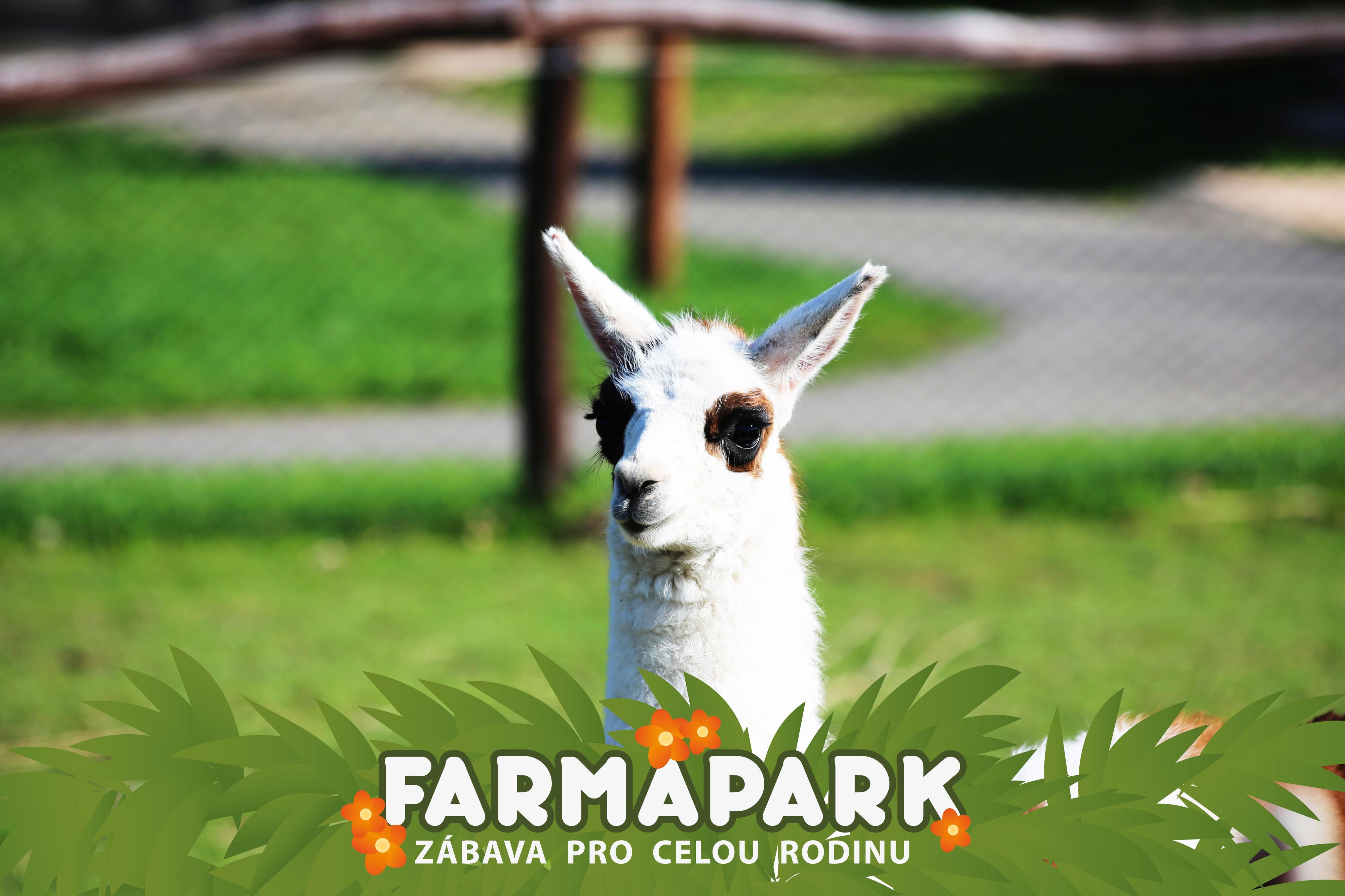 FARMAPARK foto 3