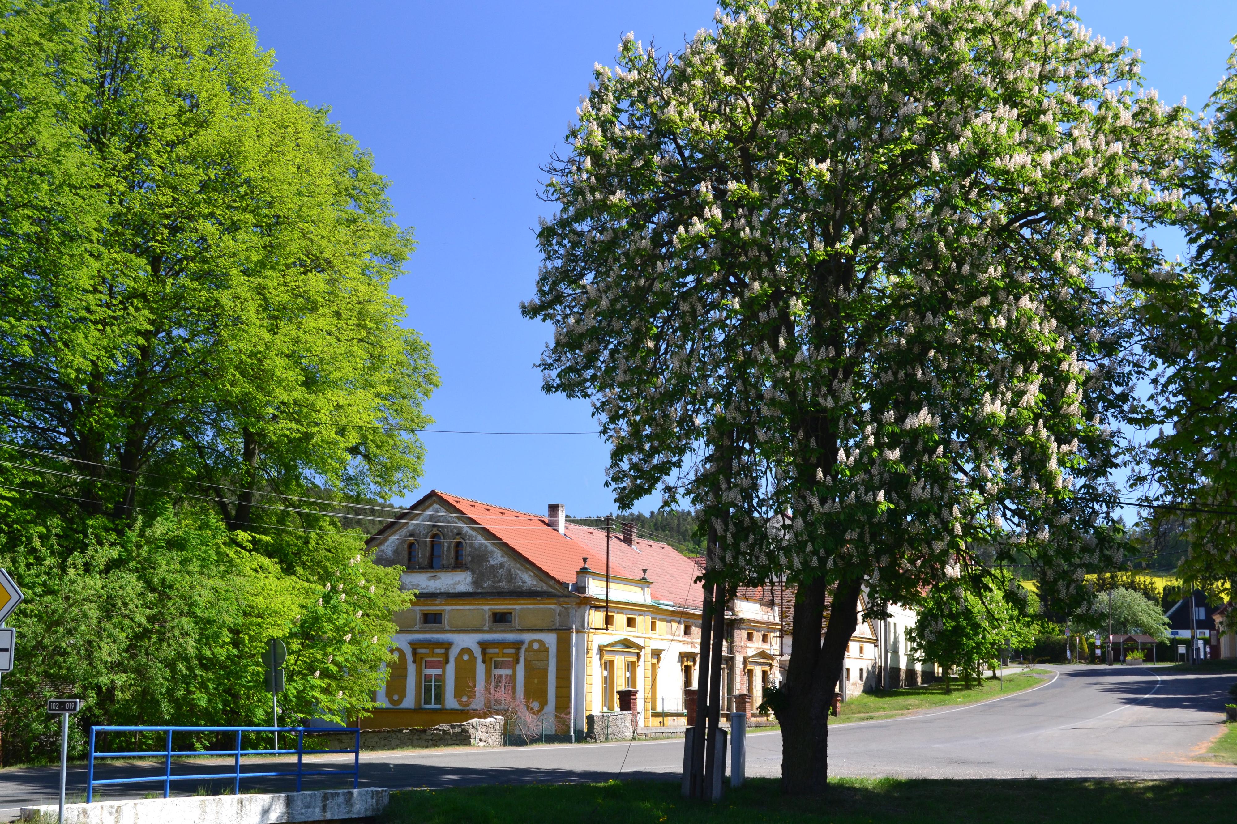 Chotilsko - obecní úřad foto 3