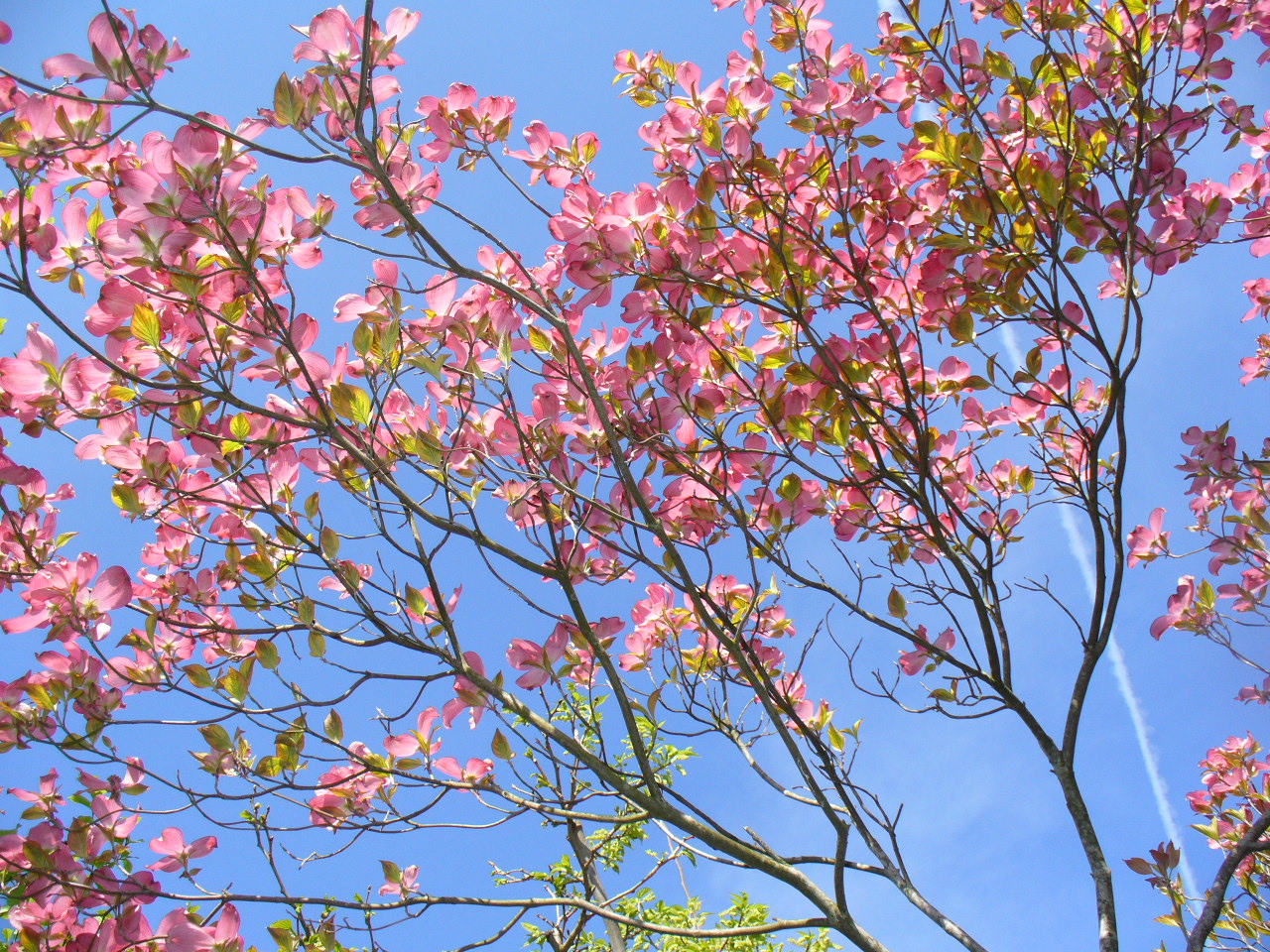 PM Agri s.r.o. foto 4