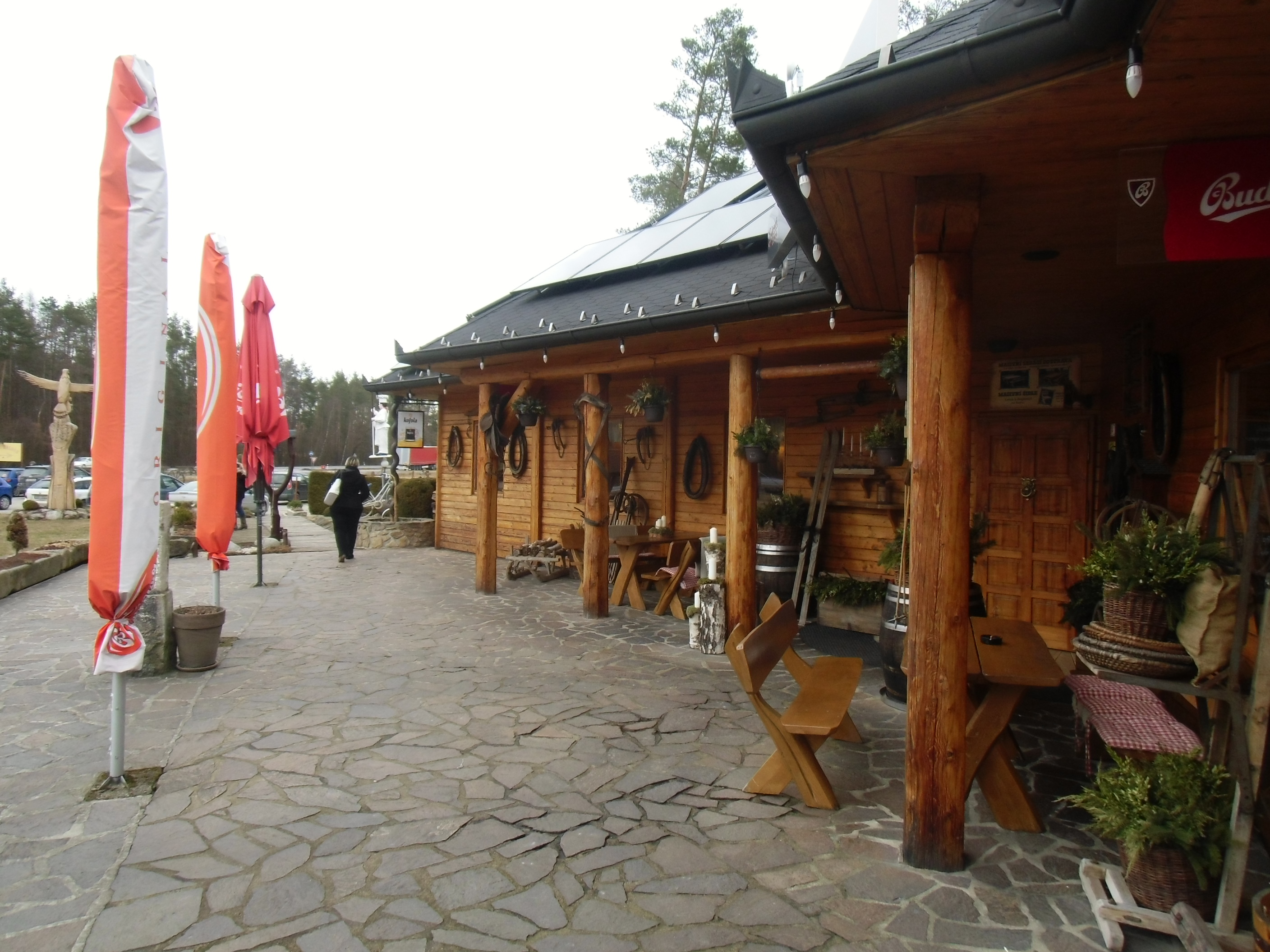 Country Saloon foto 2