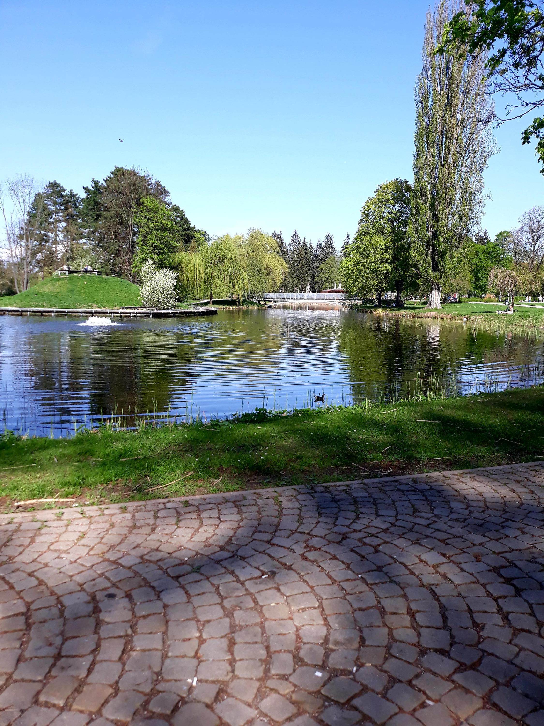 Rotunda Lounge Café foto 2