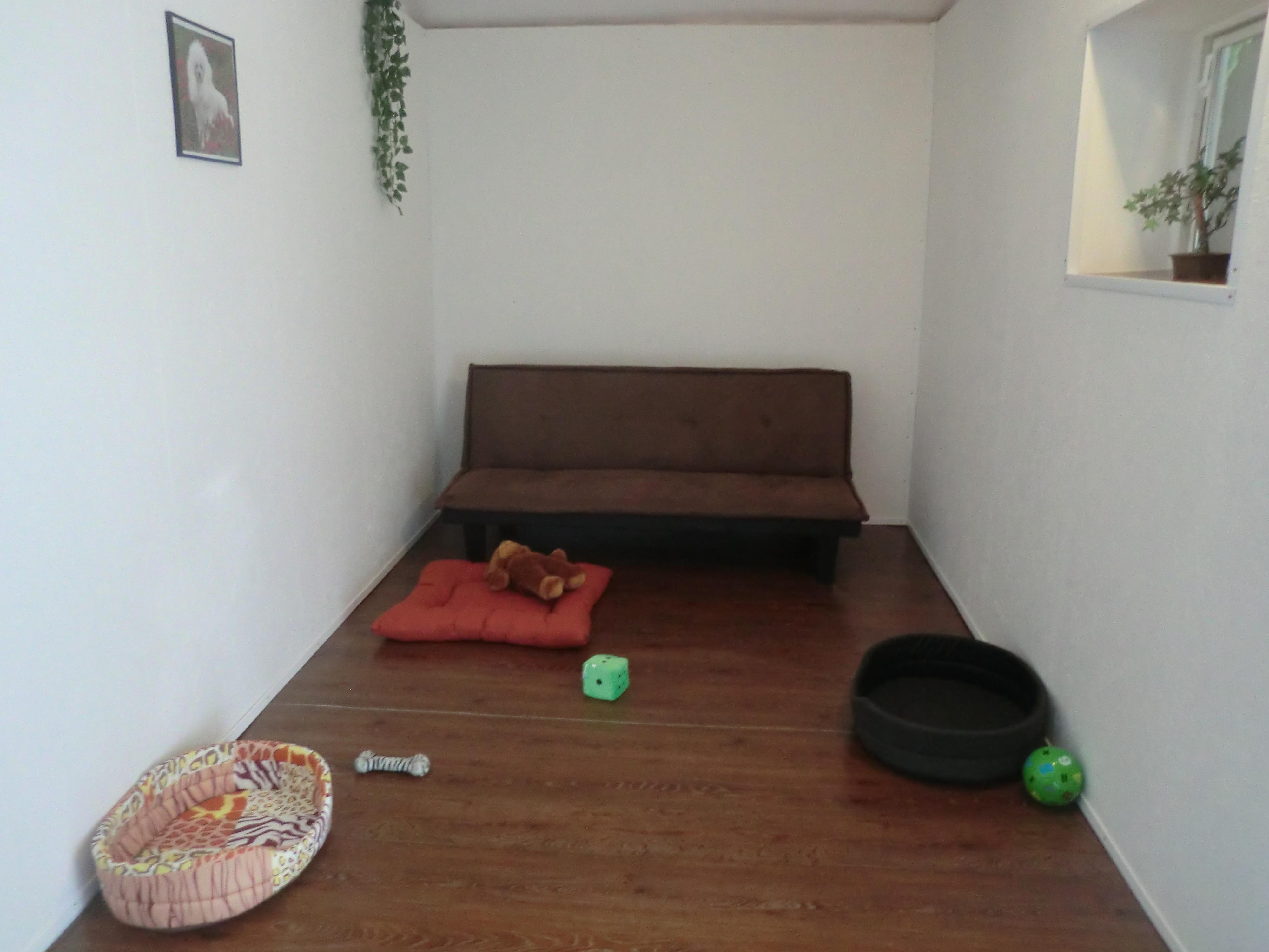 Psí školka Pod Ořechem foto 2