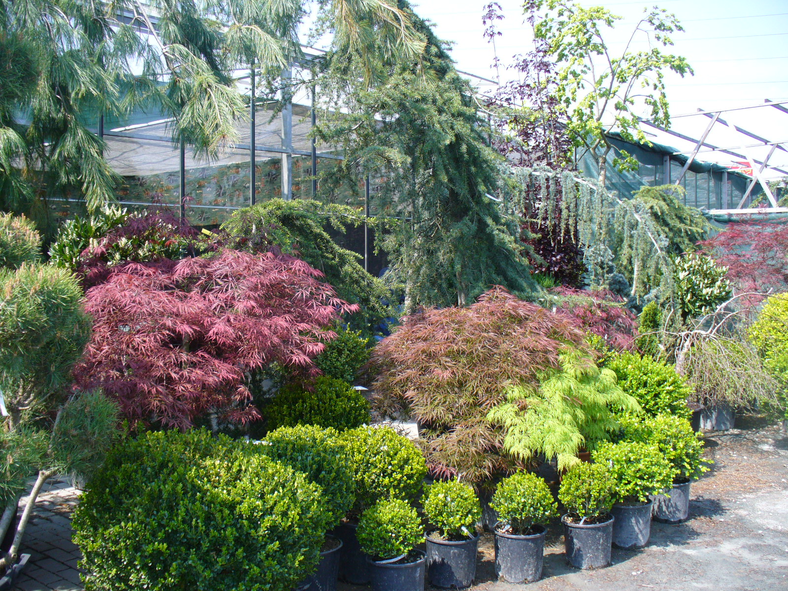 PM Agri s.r.o. foto 2