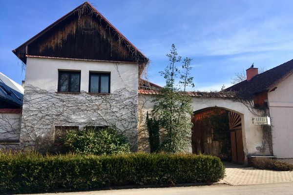 Vinařství Kraus: Prodej Sazenic - Váš Průvodce Světem Vinné Révy () Vinařství Kraus: Prodej Sazenic - Váš Průvodce Světem Vinné Révy