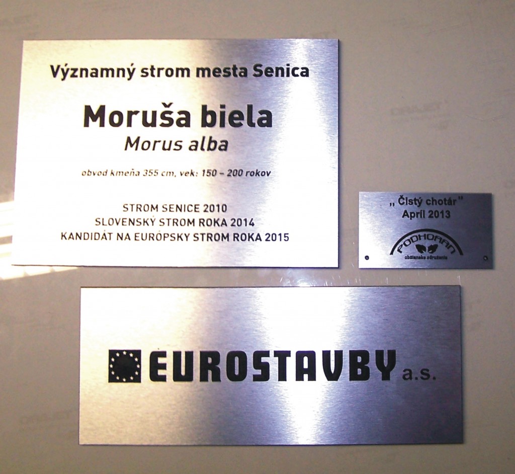 Promo agentura foto 2