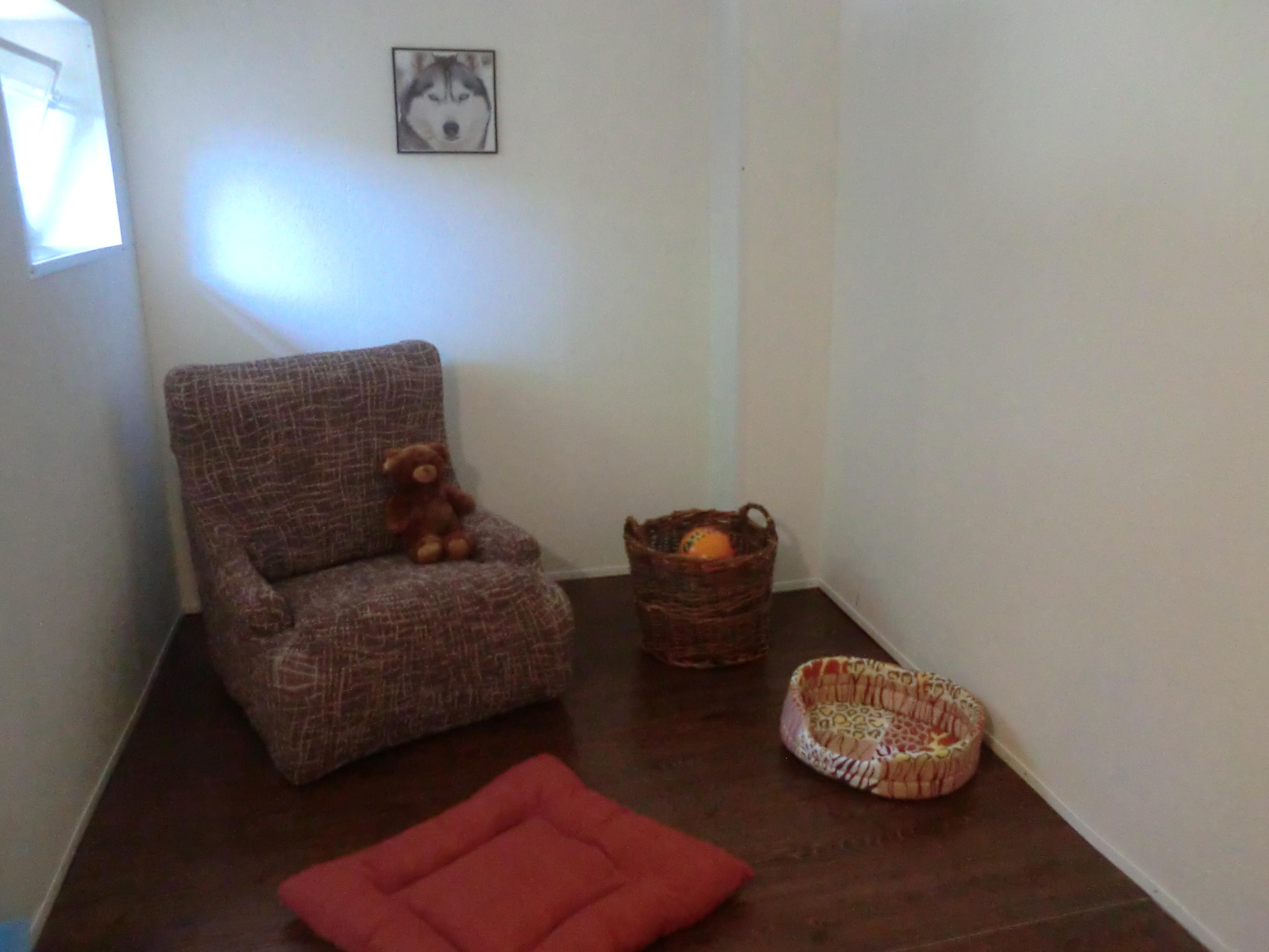 Psí školka Pod Ořechem foto 3