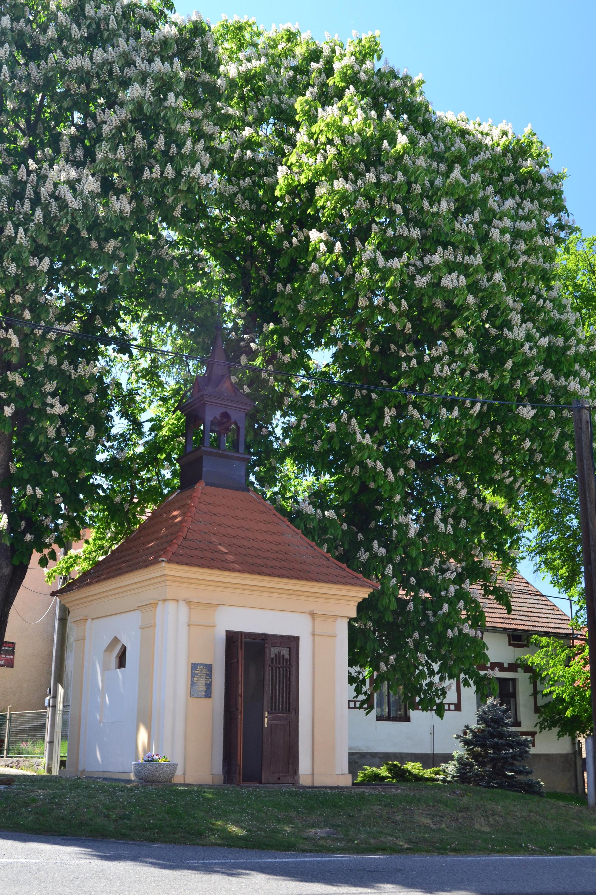 Chotilsko - obecní úřad foto 4