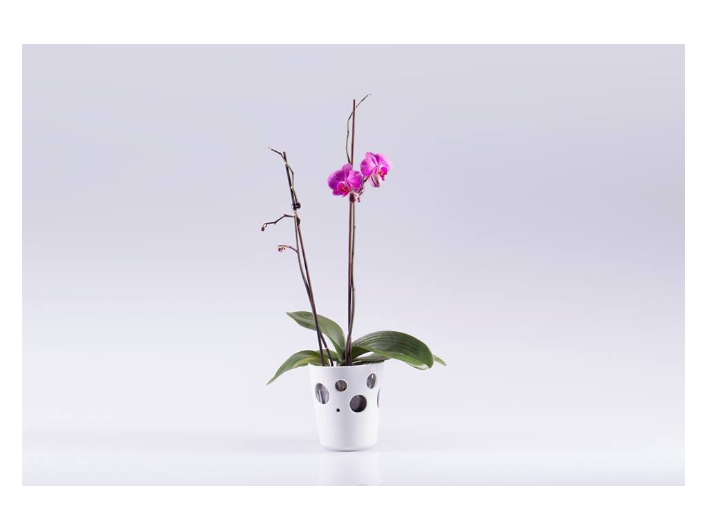 LUCKAVO - Autorský design porcelánu foto 6