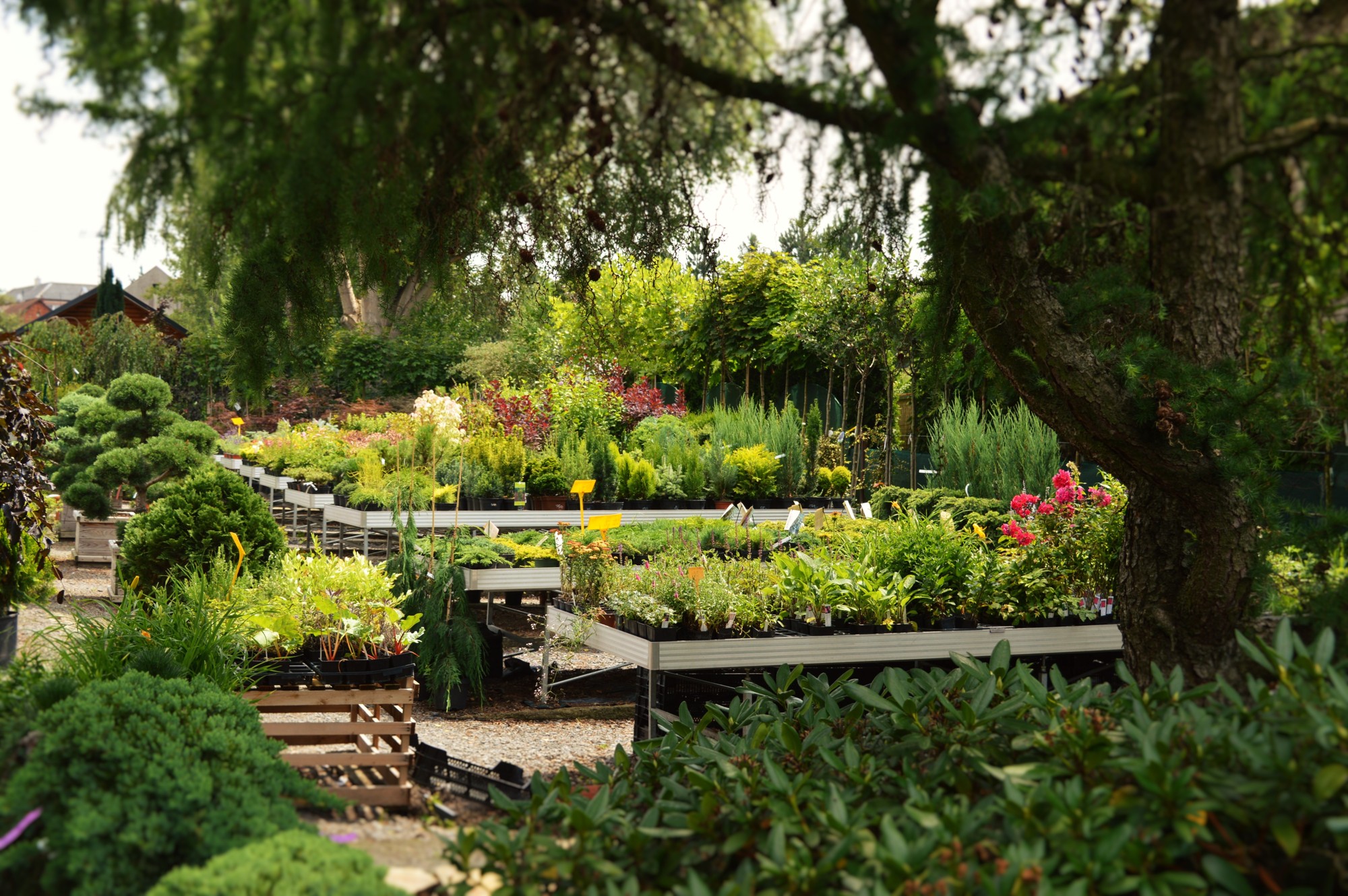 Zahradnictví Adelovi