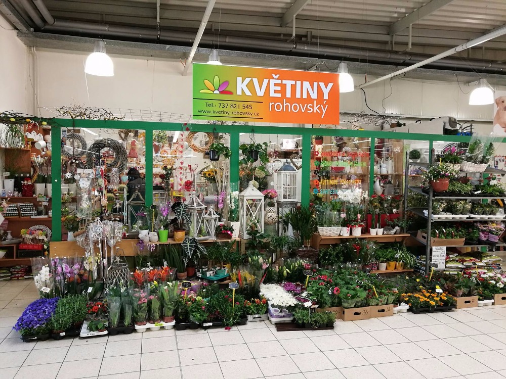 Květiny Rohovský