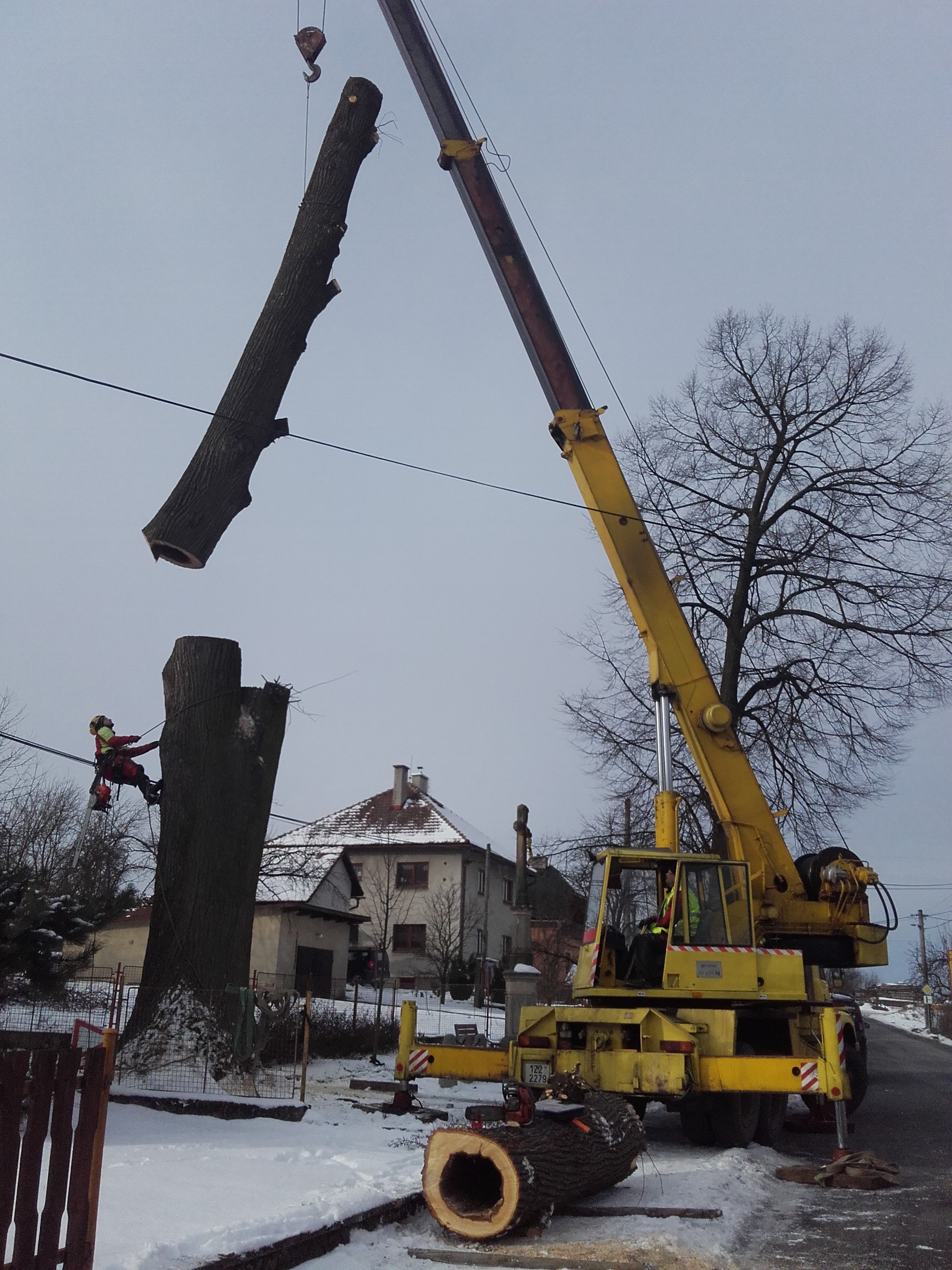 Arboristé Morava foto 2