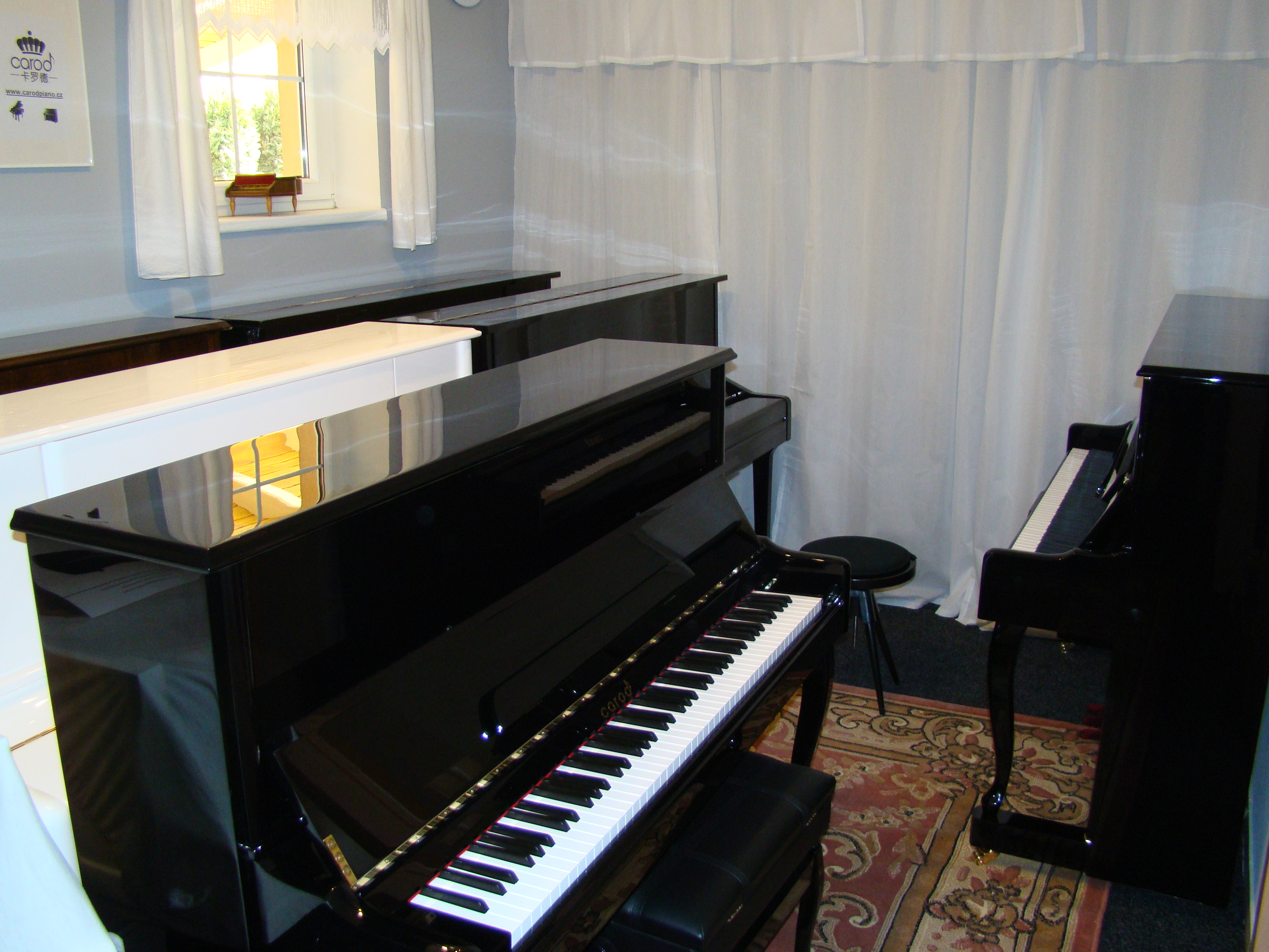 CAROD PIANO CZ foto 2