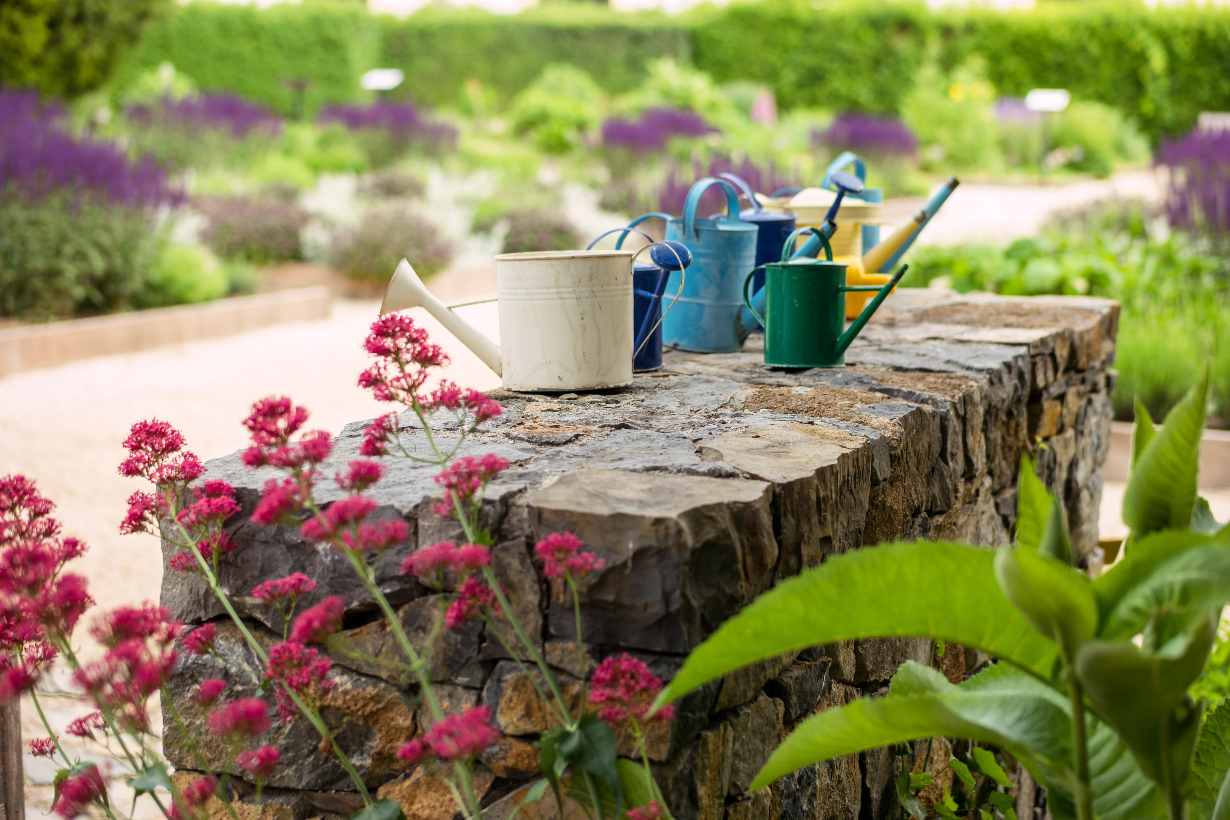 Bylinková zahrada Lu & Tiree Chmelar foto 2