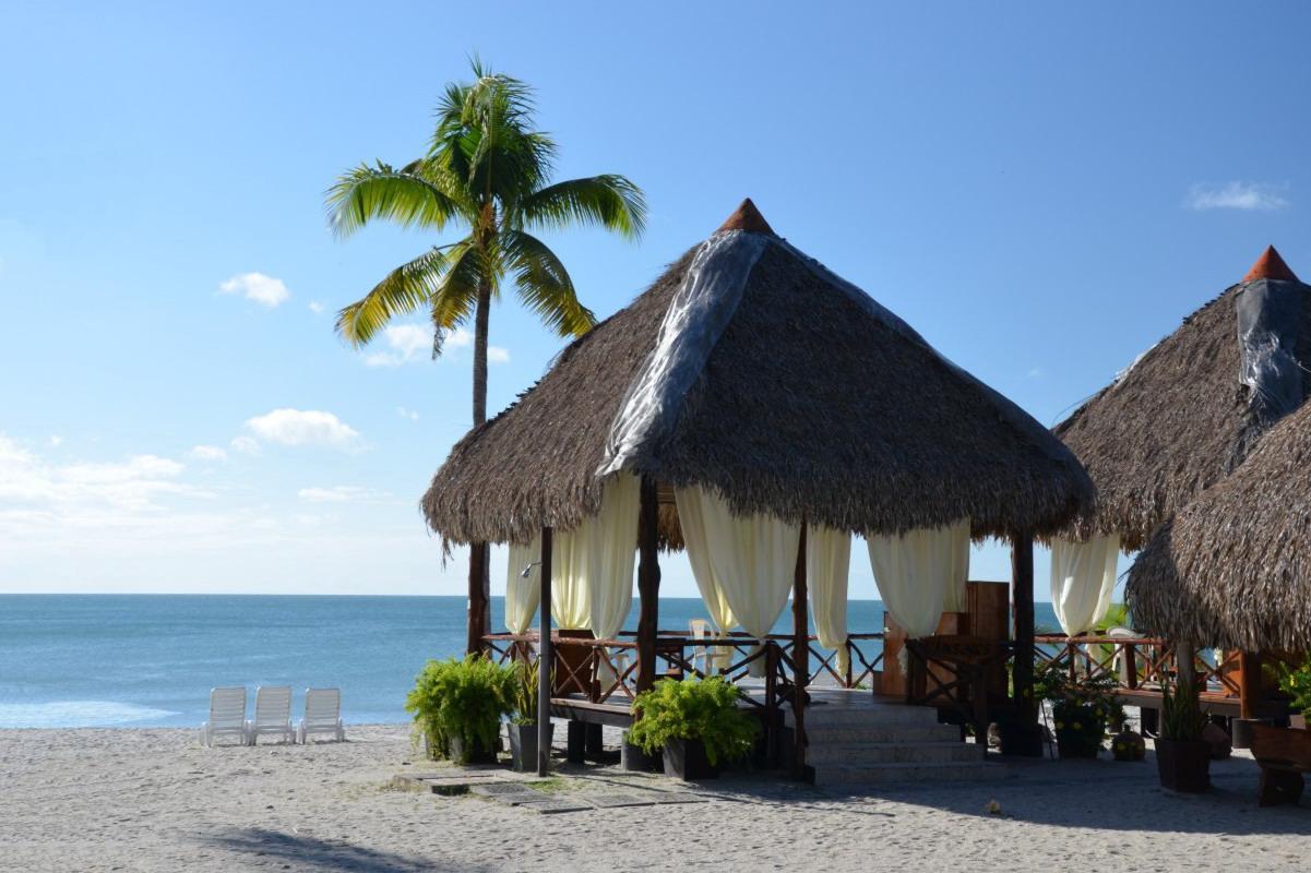 Cestovní agentura Olympia Travel foto 1