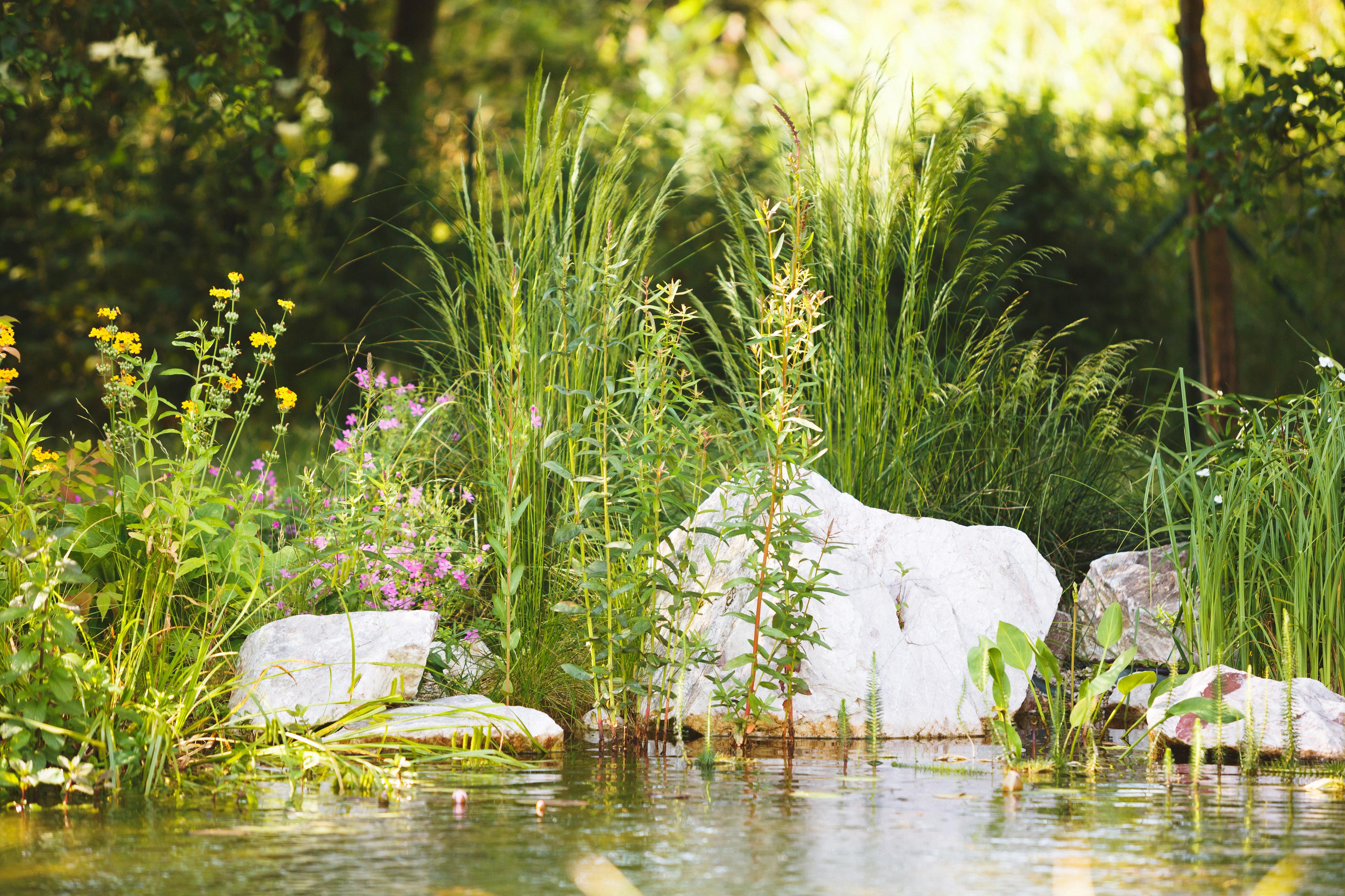 JAMI Gardens, s.r.o. foto 6