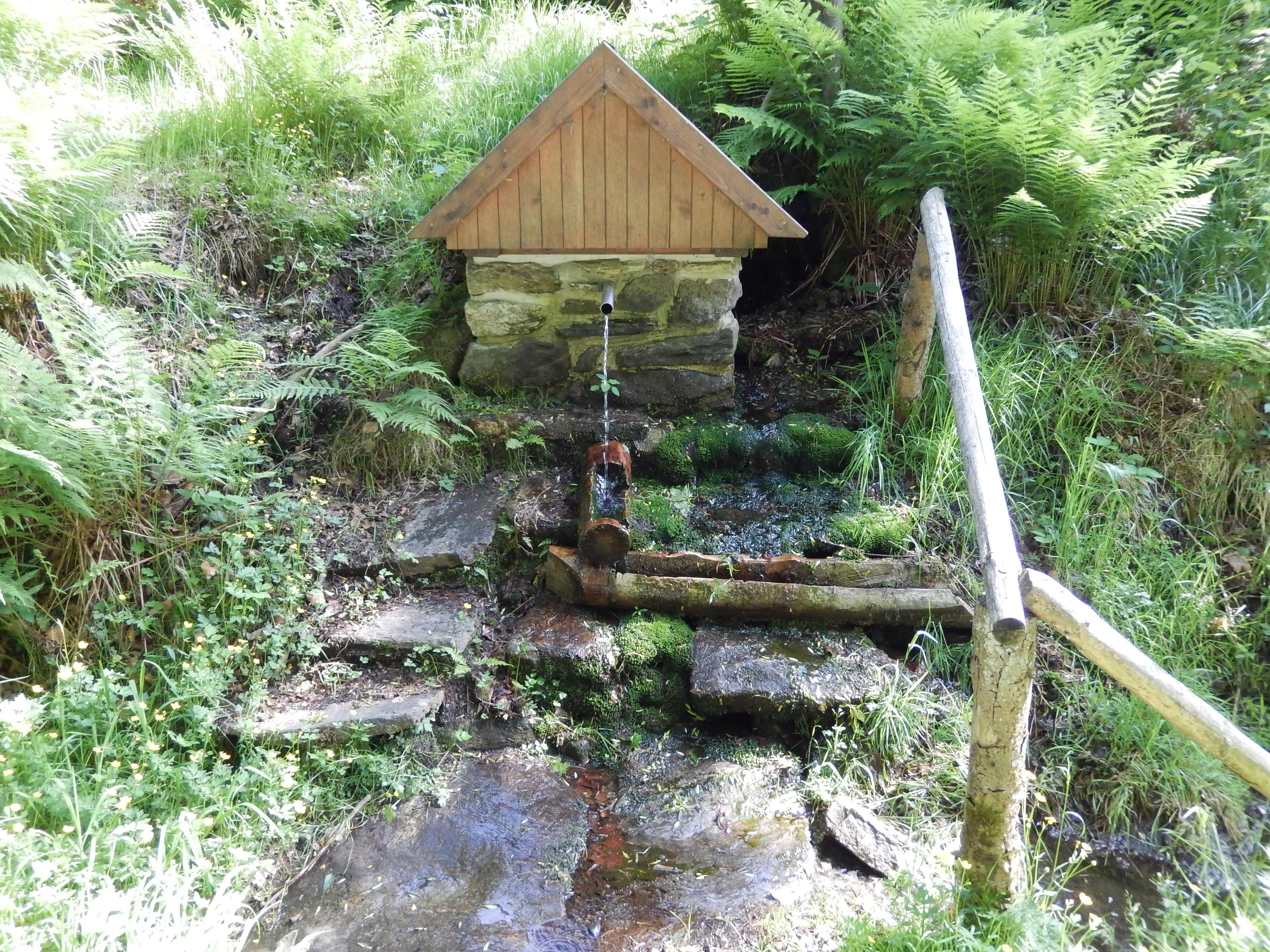 Ubytování Poběžovice - Tomáš Hrda foto 2