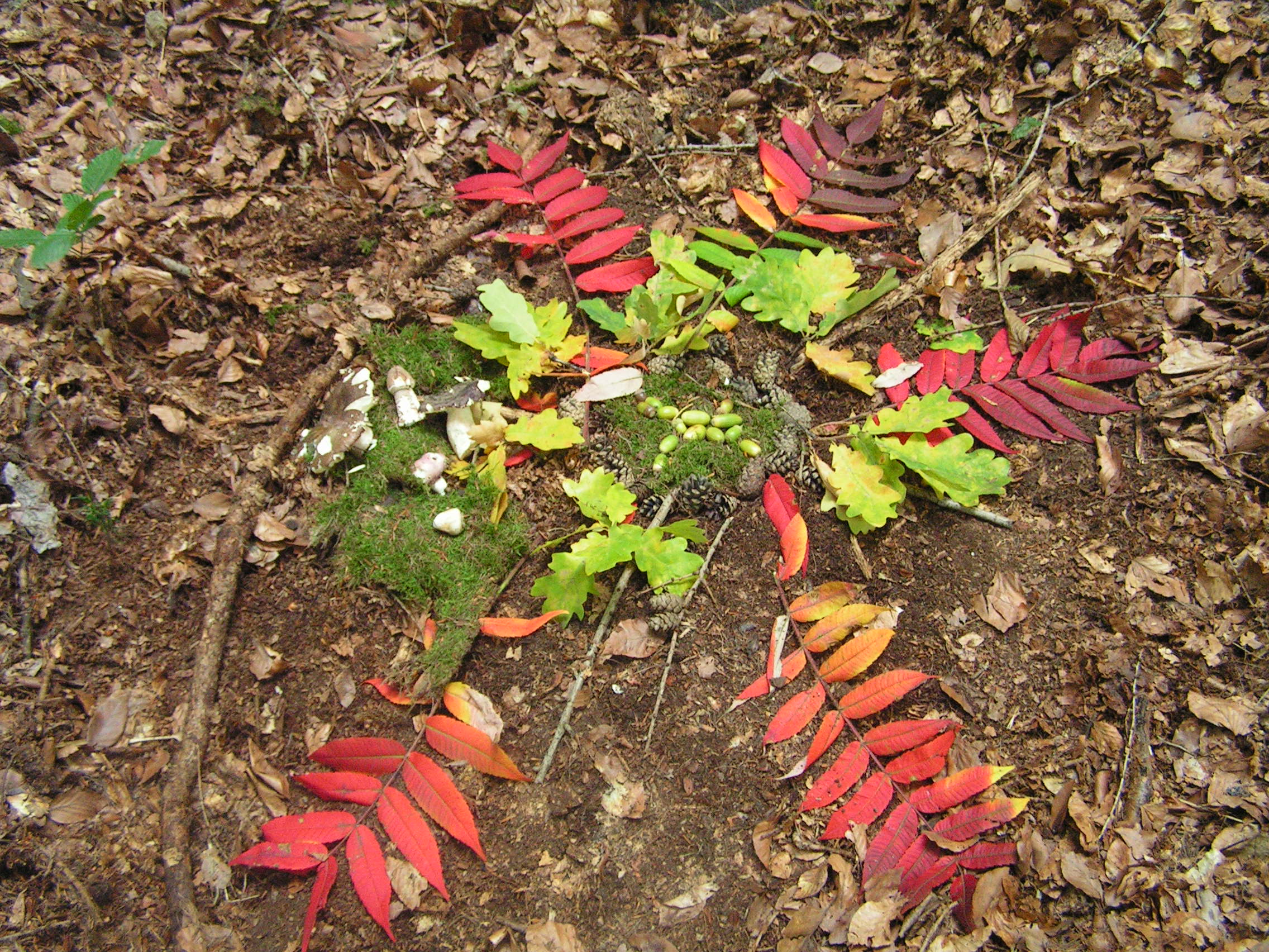 Lesní klub U tří soviček foto 5