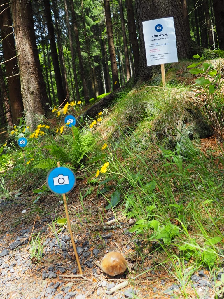 Lesní restaurant a penzion Jezírko Jáchymov foto 2