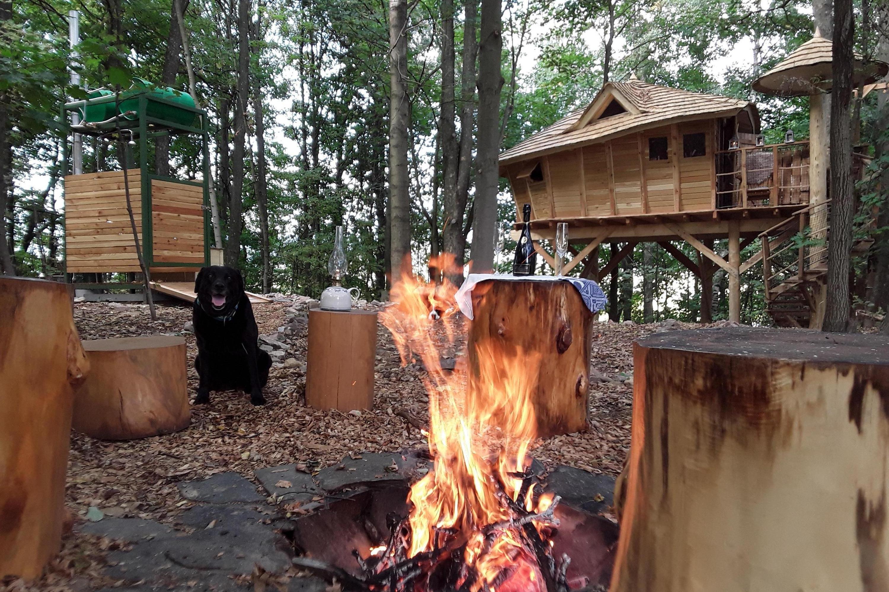 Tree Houses Sněžník