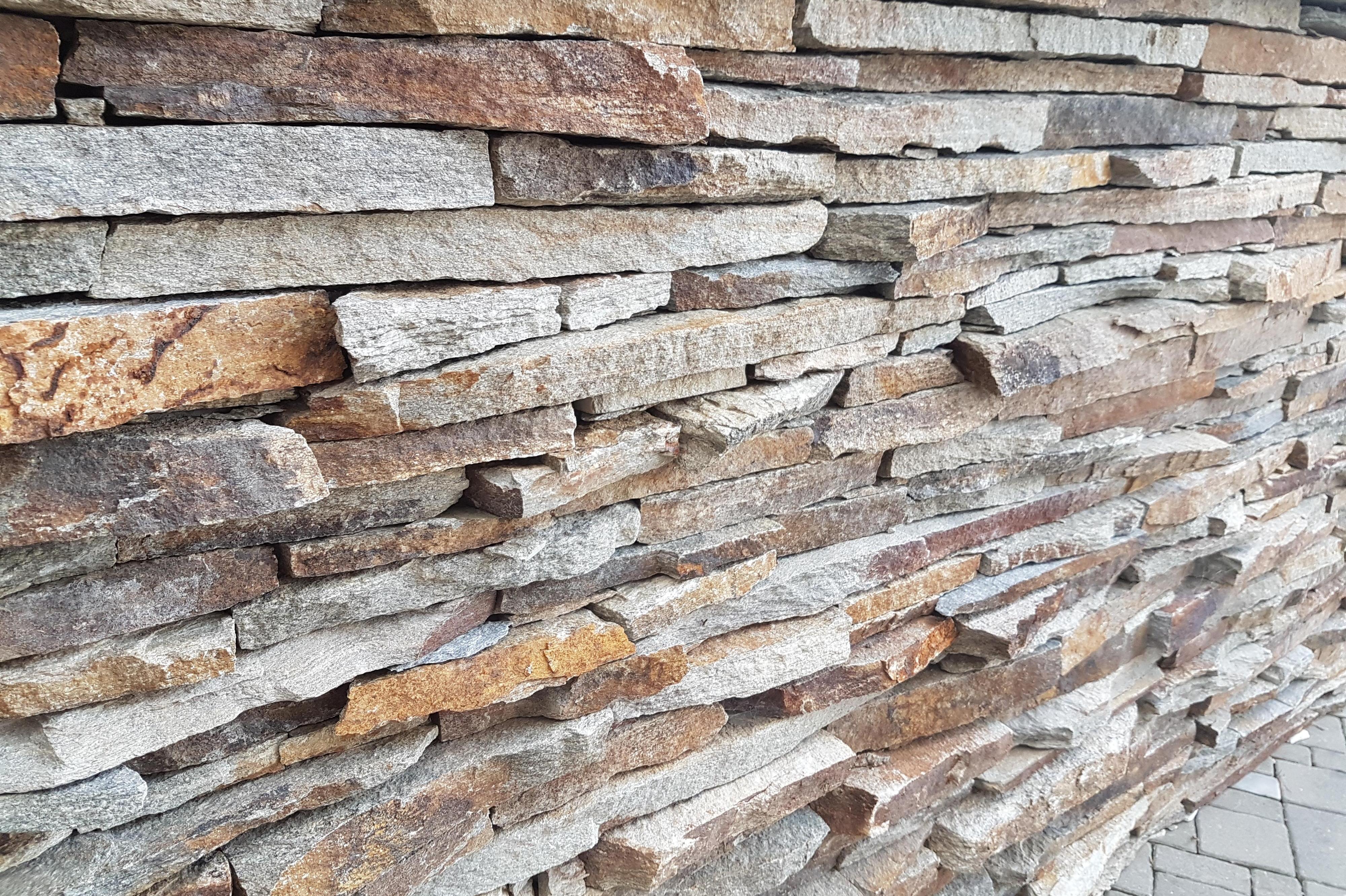 ANZUVA - Rybnikář Michal