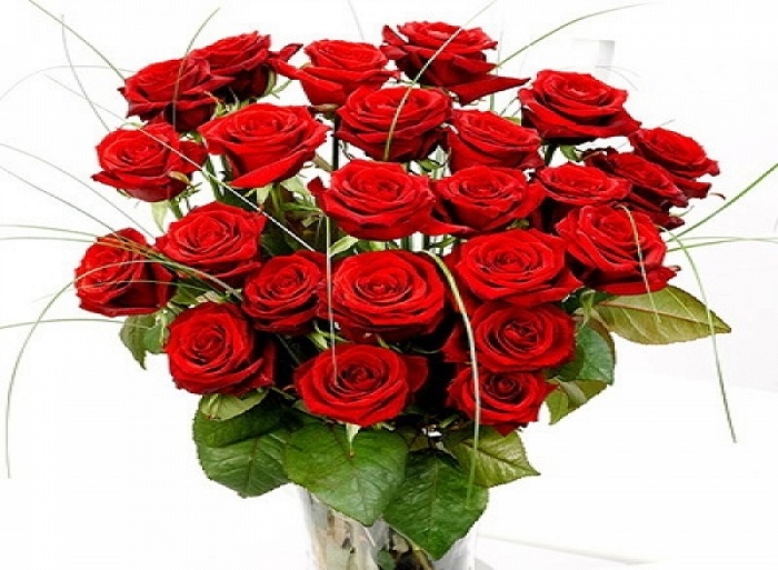 Květinářství-Brno foto 3