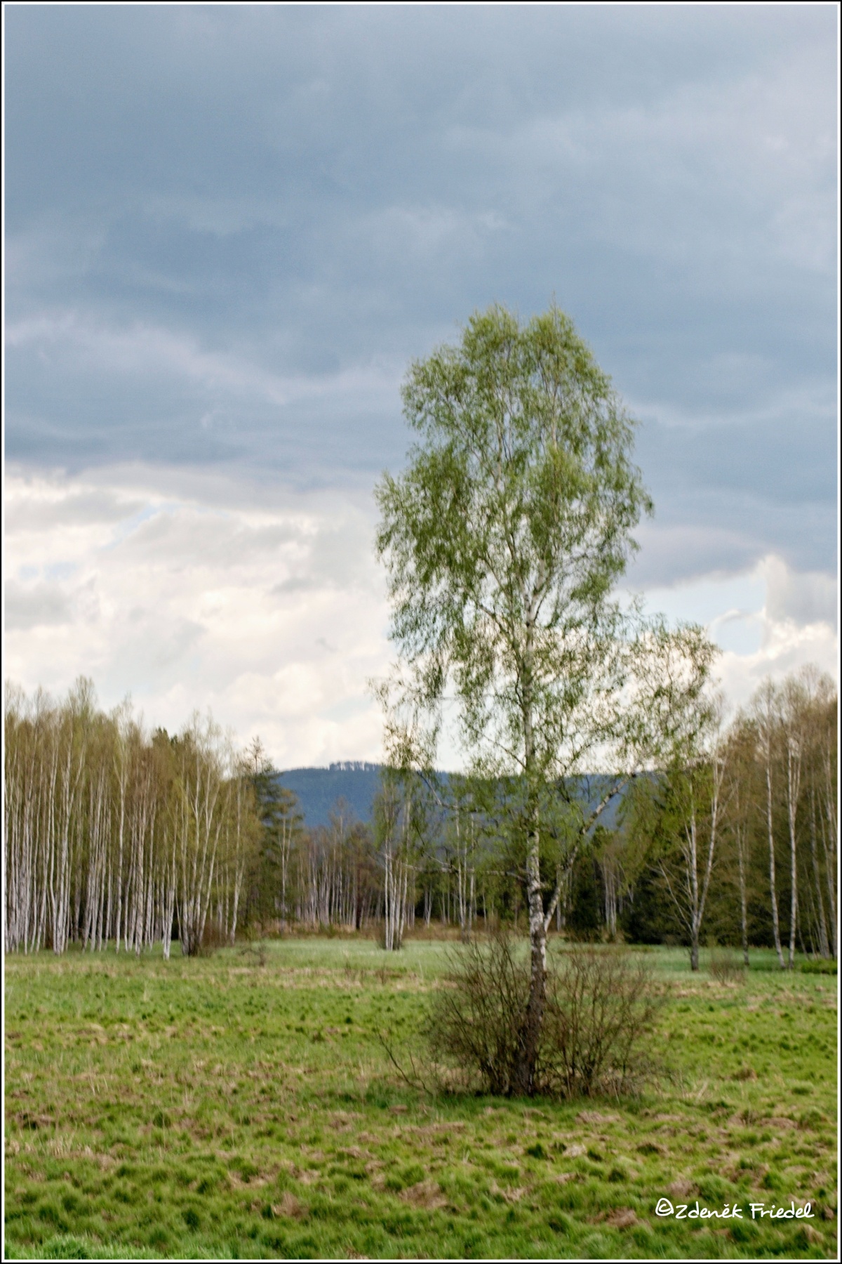 Penzion Černý Kříž foto 5