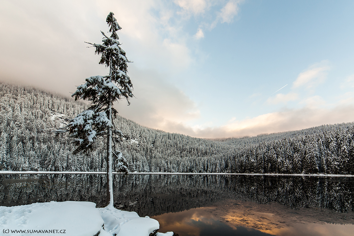 ŠumavaNet.CZ foto 4