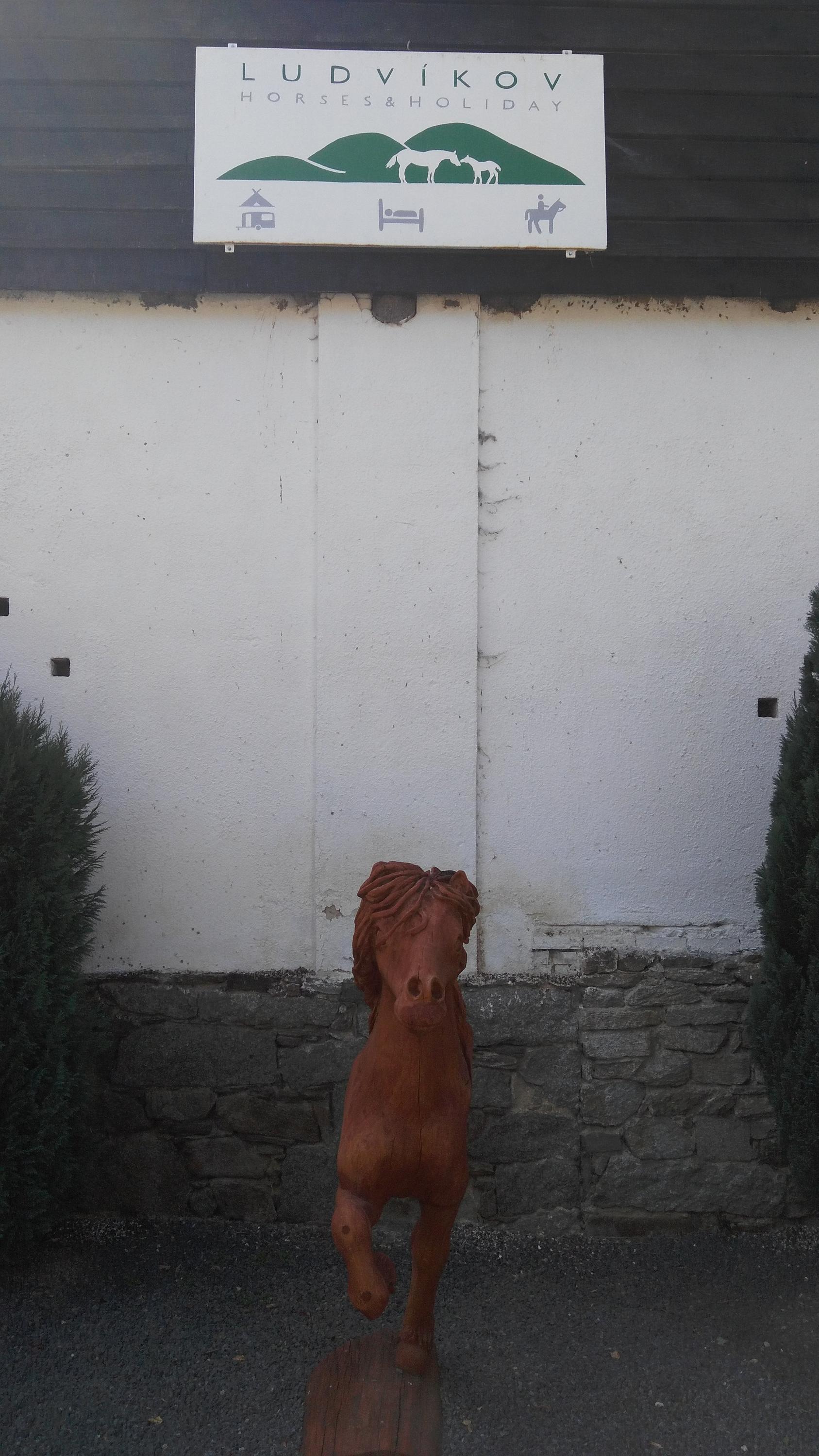 Horses & Holiday - Kemp foto 2
