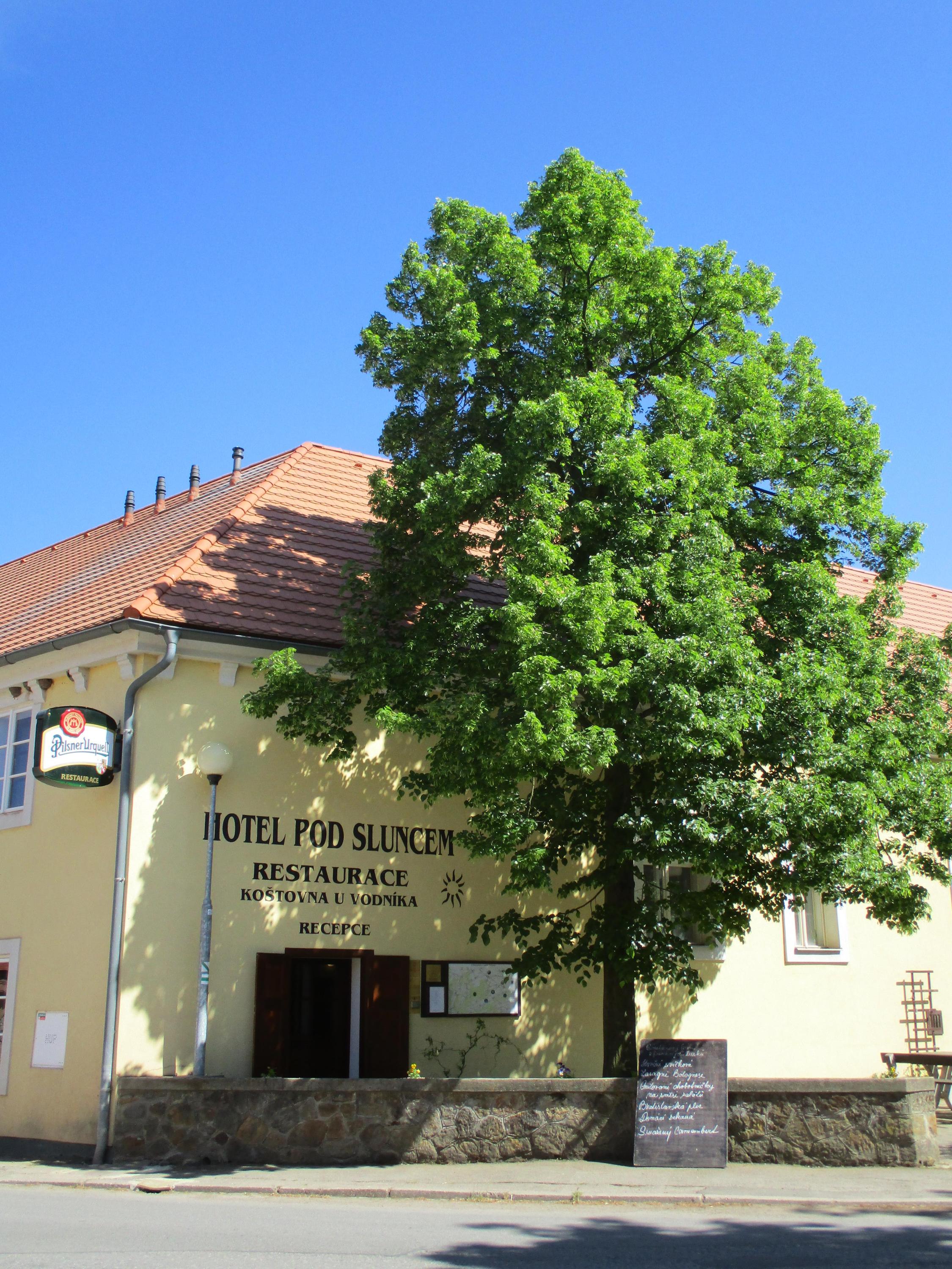 Koštovna U vodníka foto 3