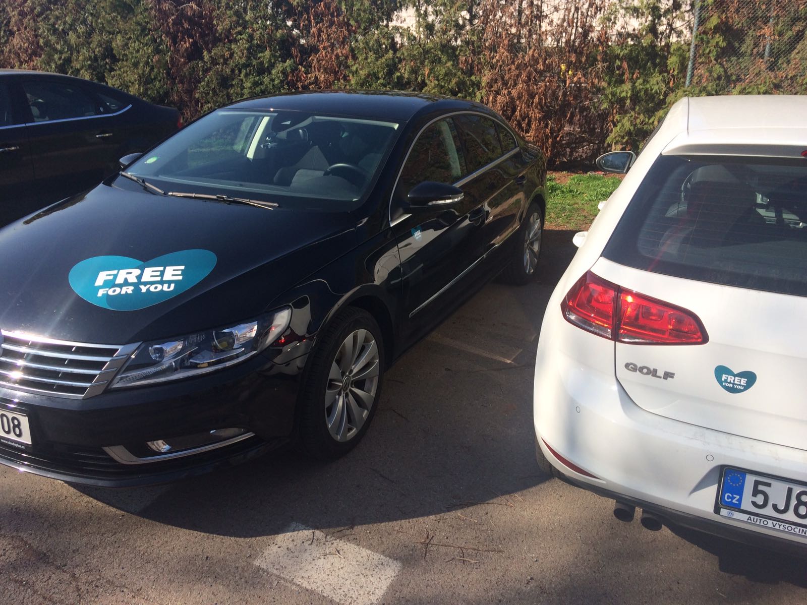 FREE for YOU s.r.o. foto 2