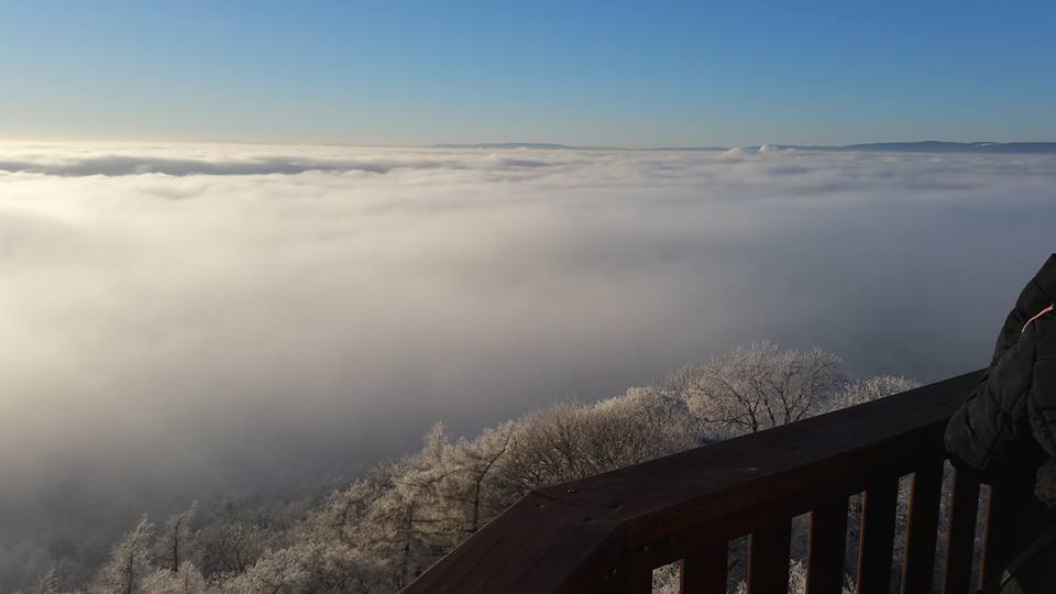 Spolek pro záchranu hradu Kostomlaty foto 4