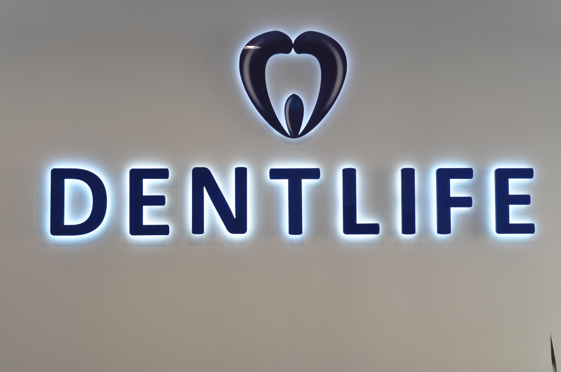 Dentlife foto 2