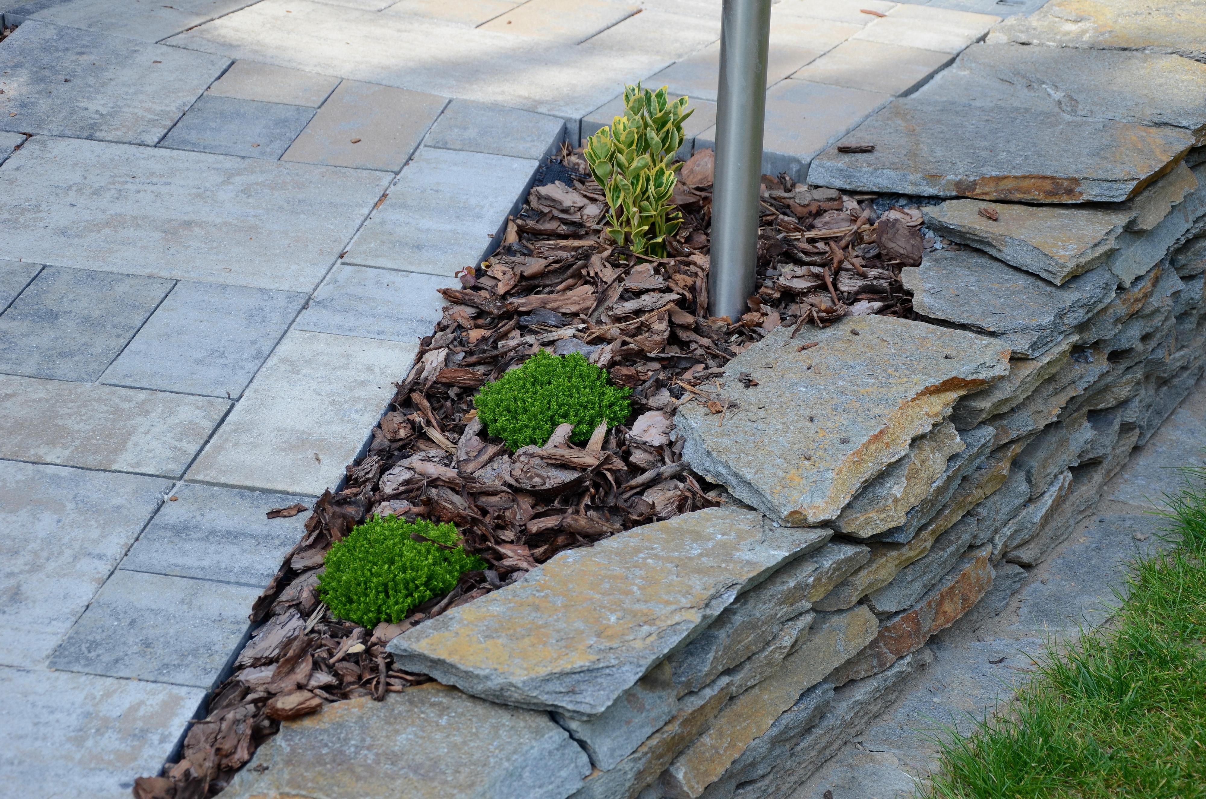 Realizace a údržba zahrad David Vondráček foto 4