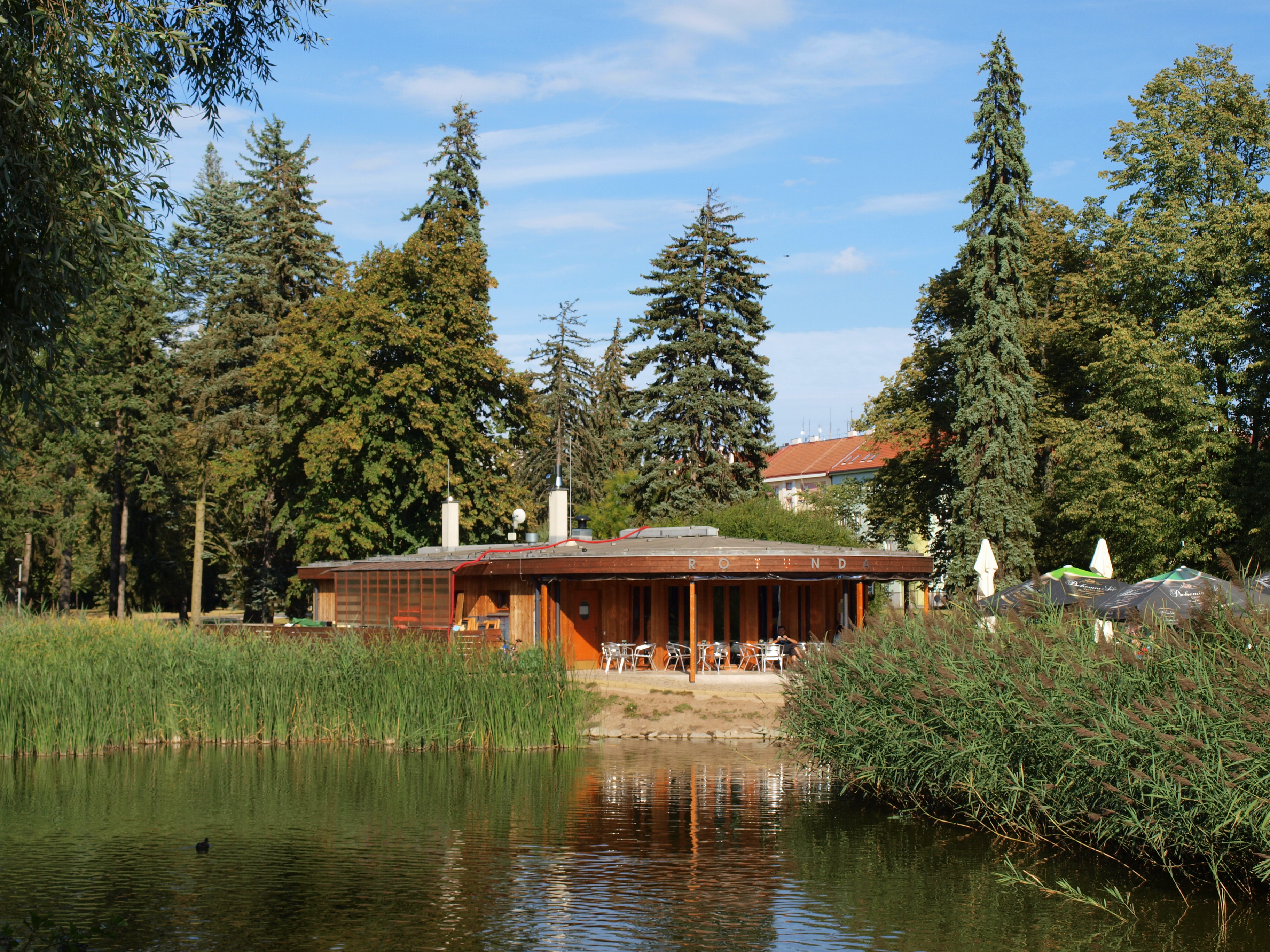 Rotunda Lounge Café foto 3