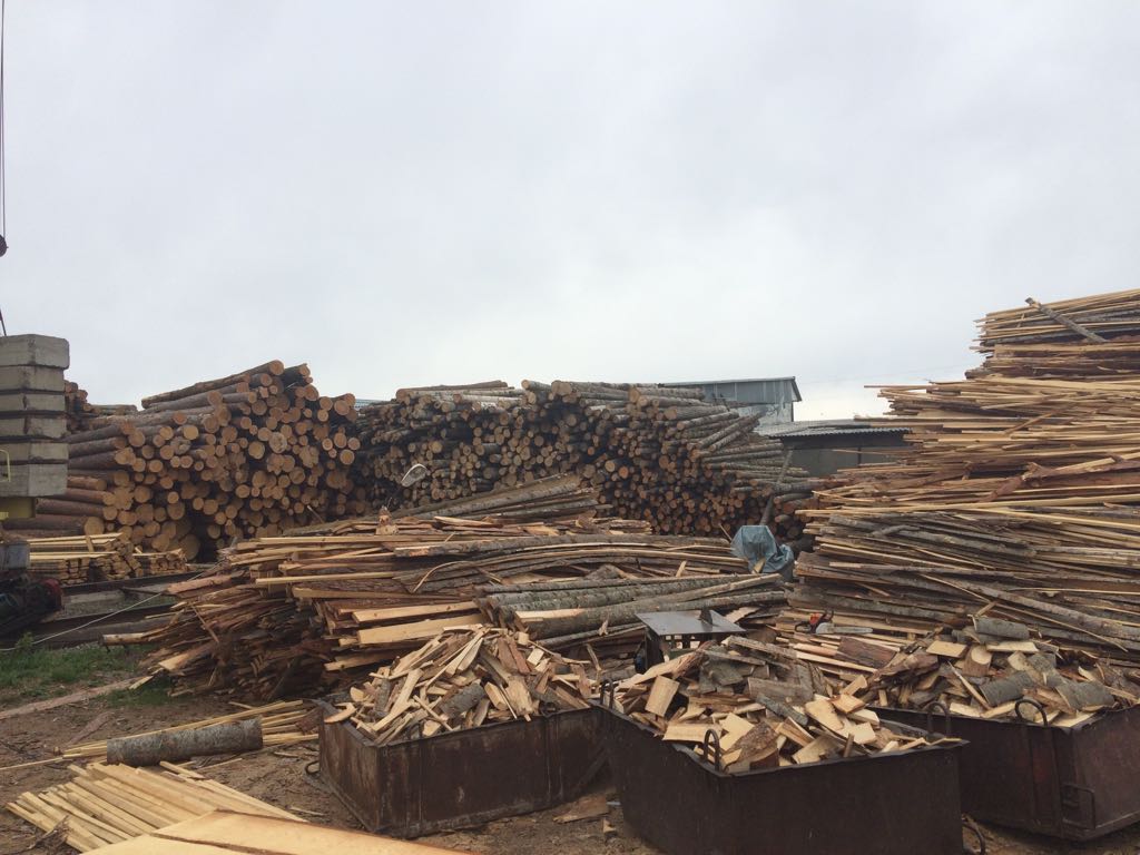 Eco Forest Sibir s.r.o. foto 3