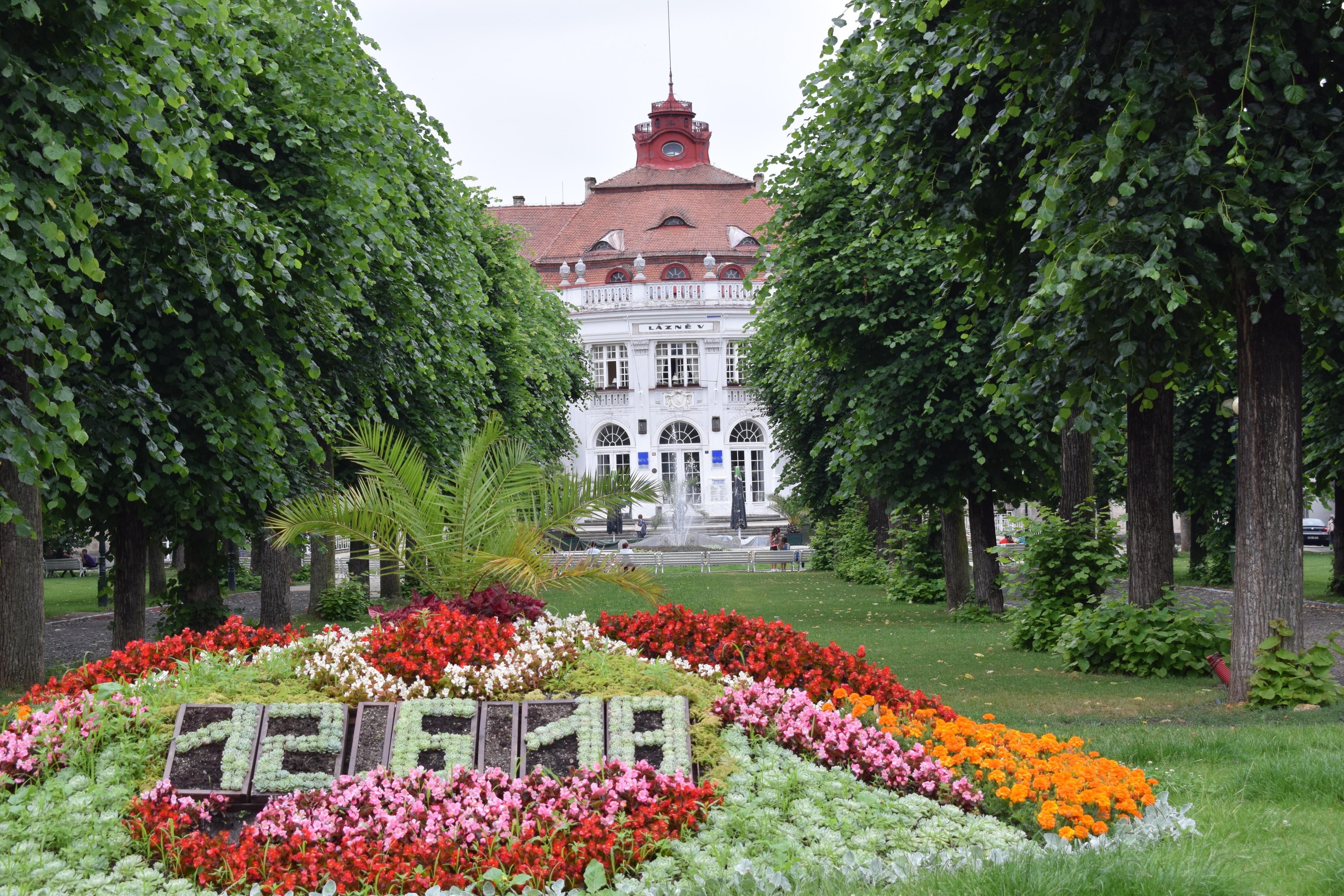 Plavecký bazén Alžbětiny Lázně foto 2